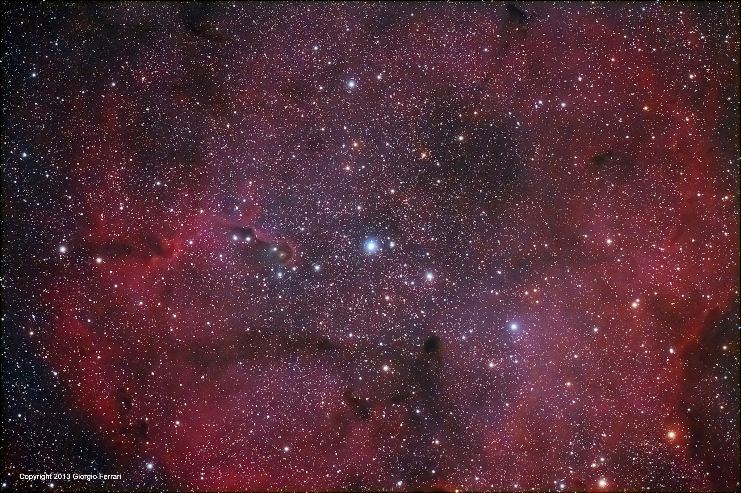 IC 1396 Elephant's Trunk nebula - Cepheus...