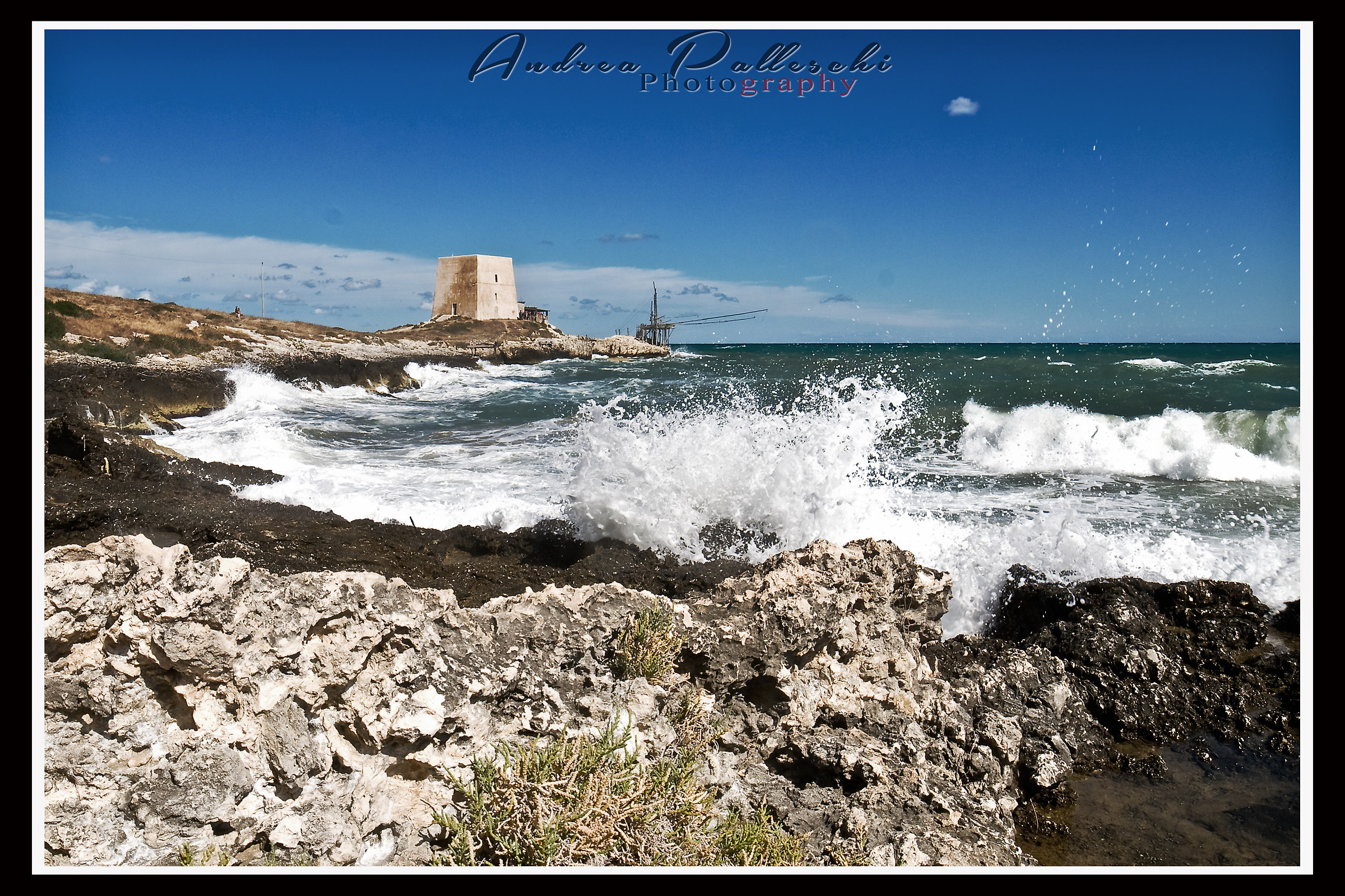 gargano...