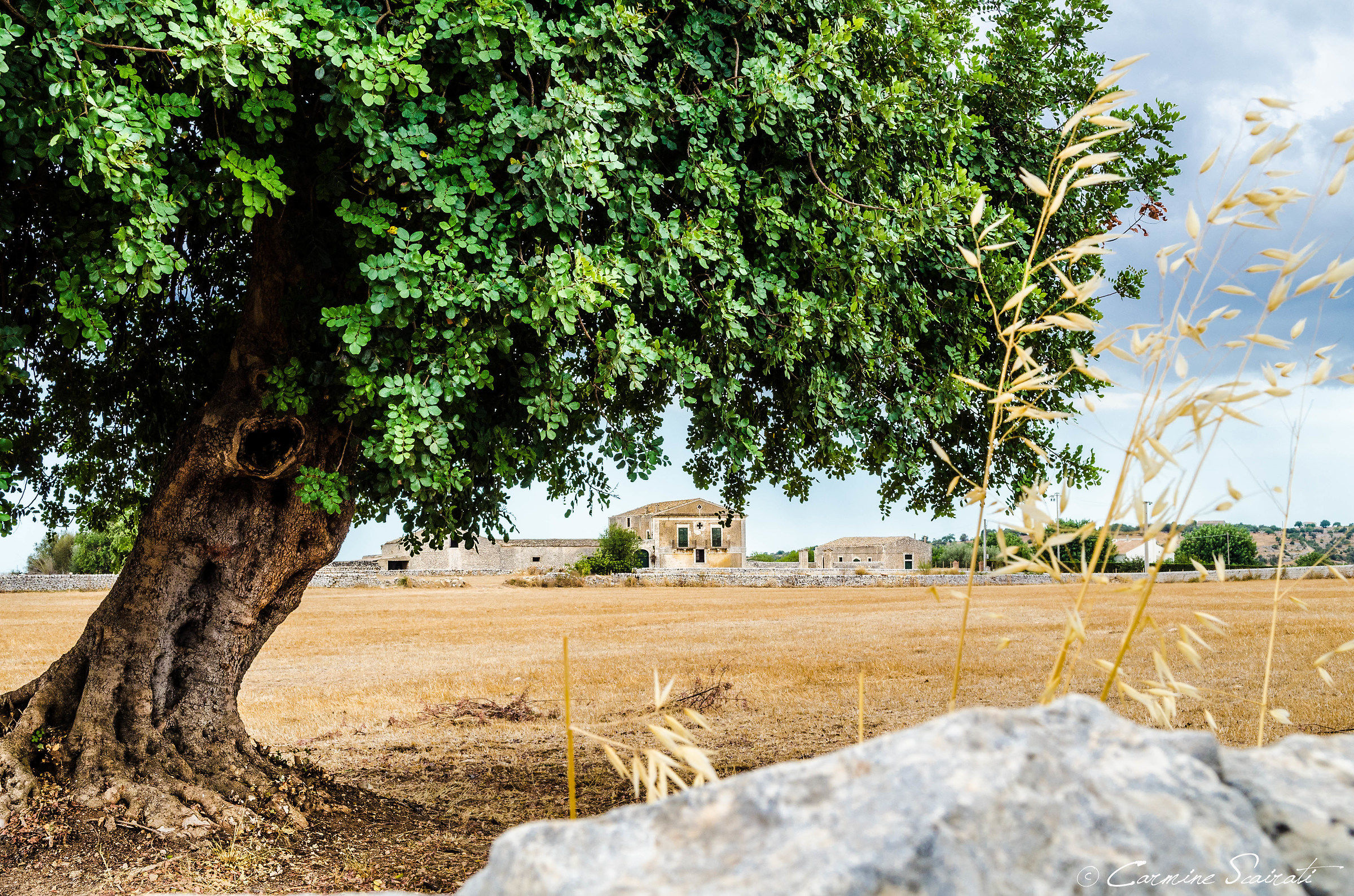Sicilian countryside...