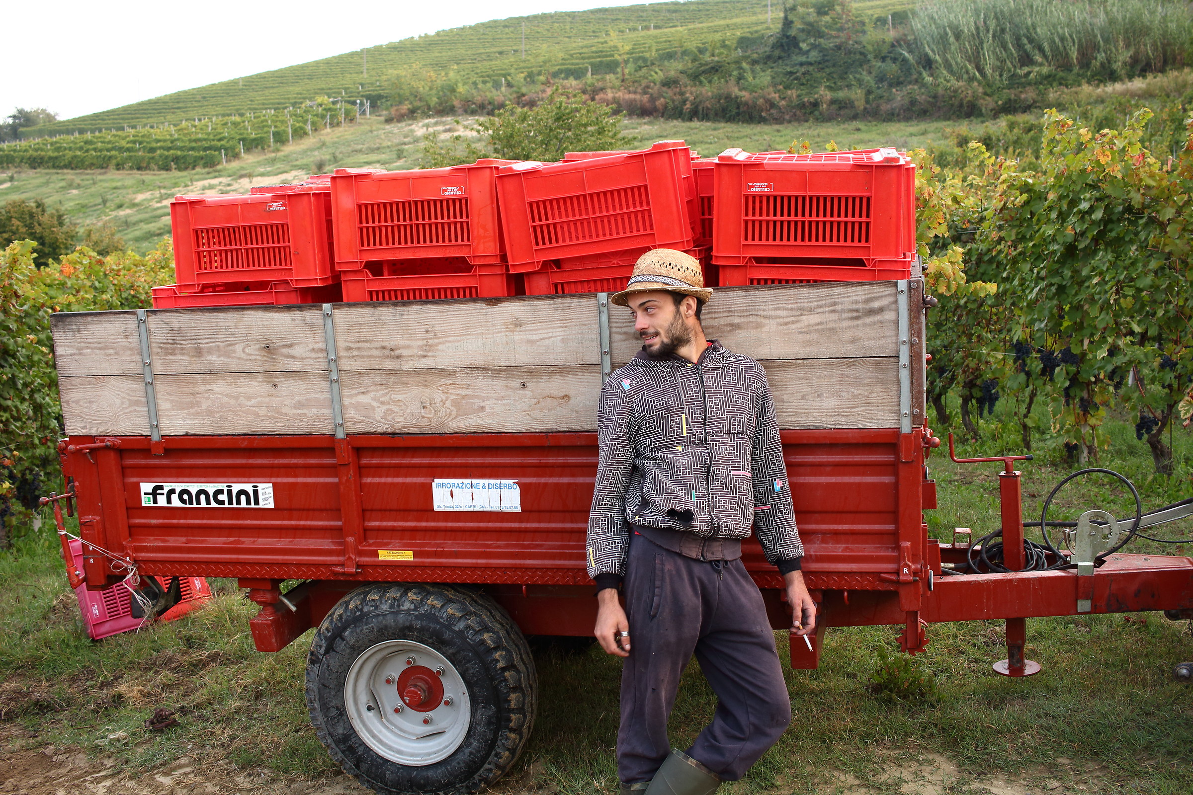 Portrait from the harvest...