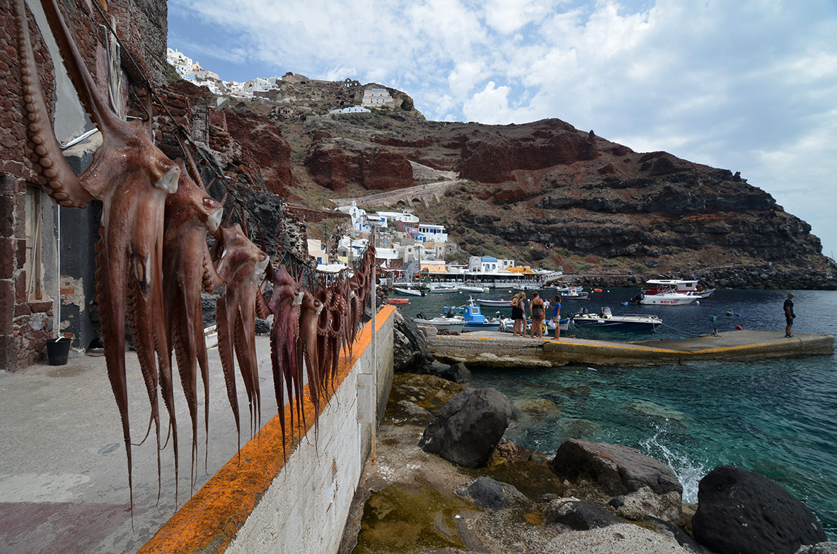 Octopus-Porto di Oia (Santorini)...