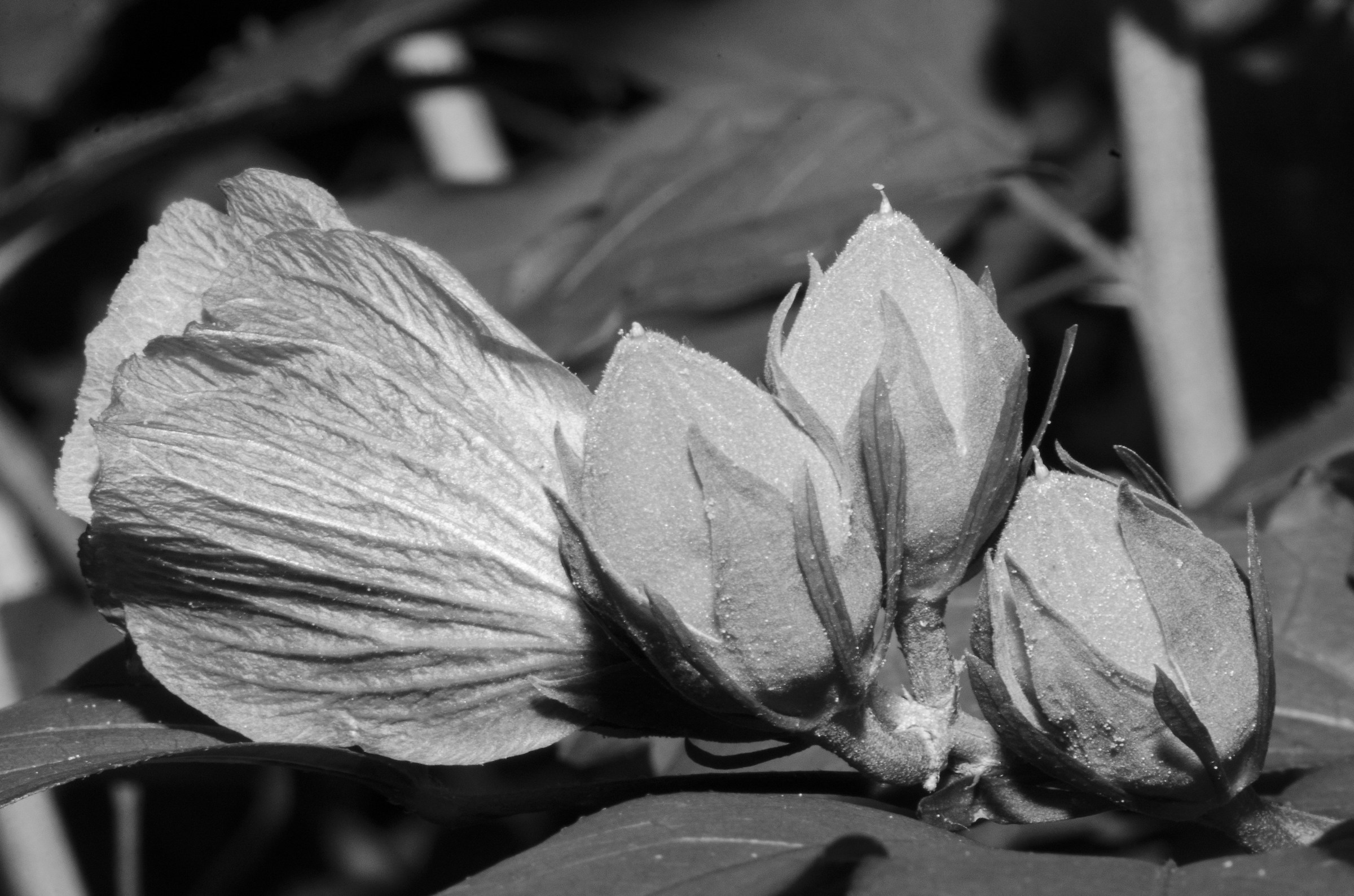 Untitled Photo...