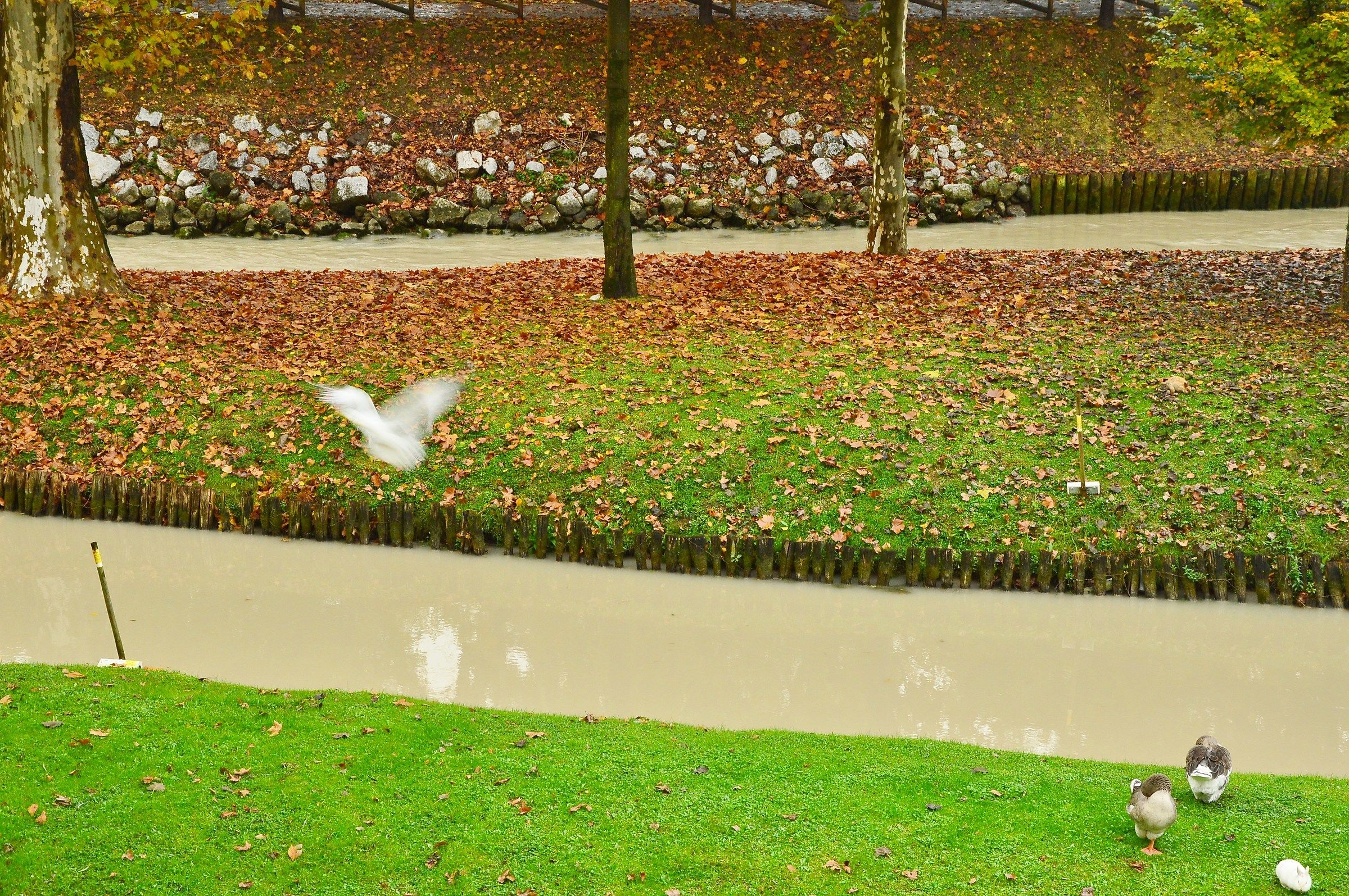 After the rain...