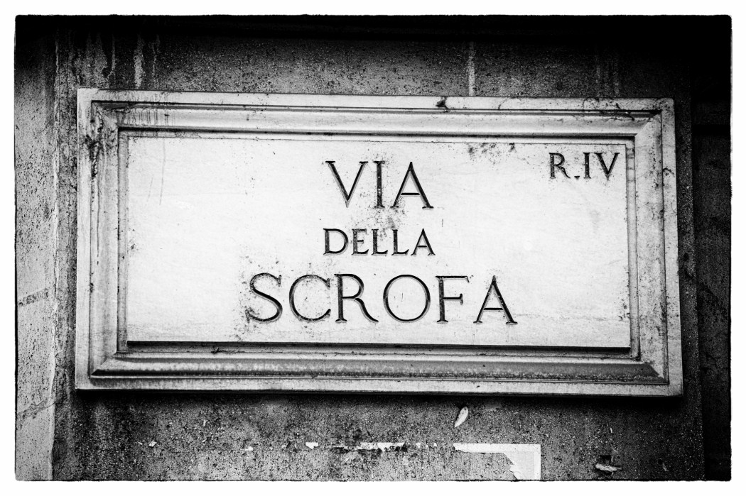 Scrofa...