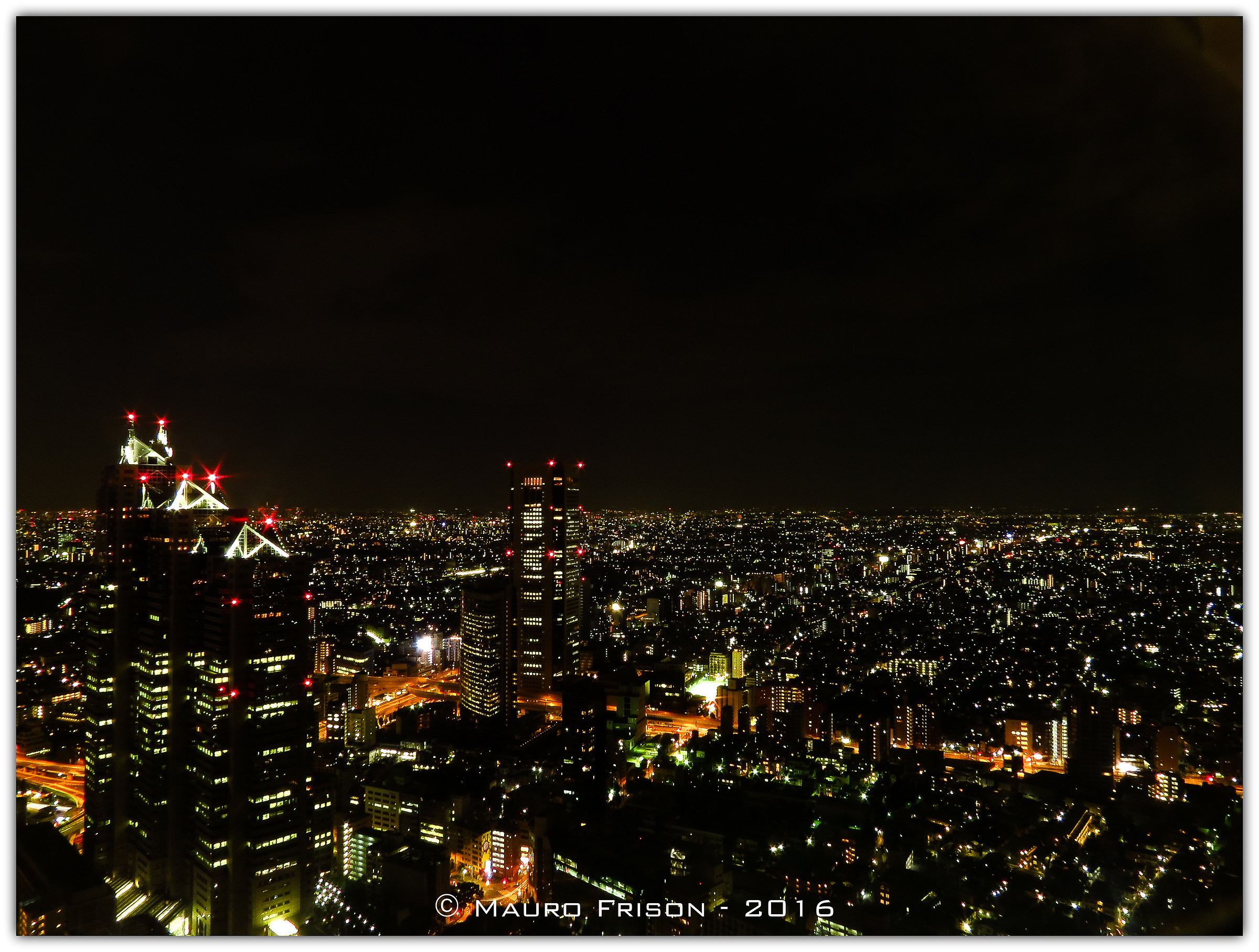 Tokyo from above ......