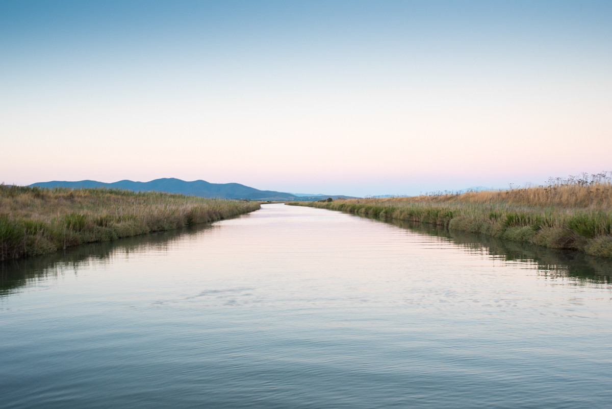 Channel - Nature Reserve Diaccia Botrona...