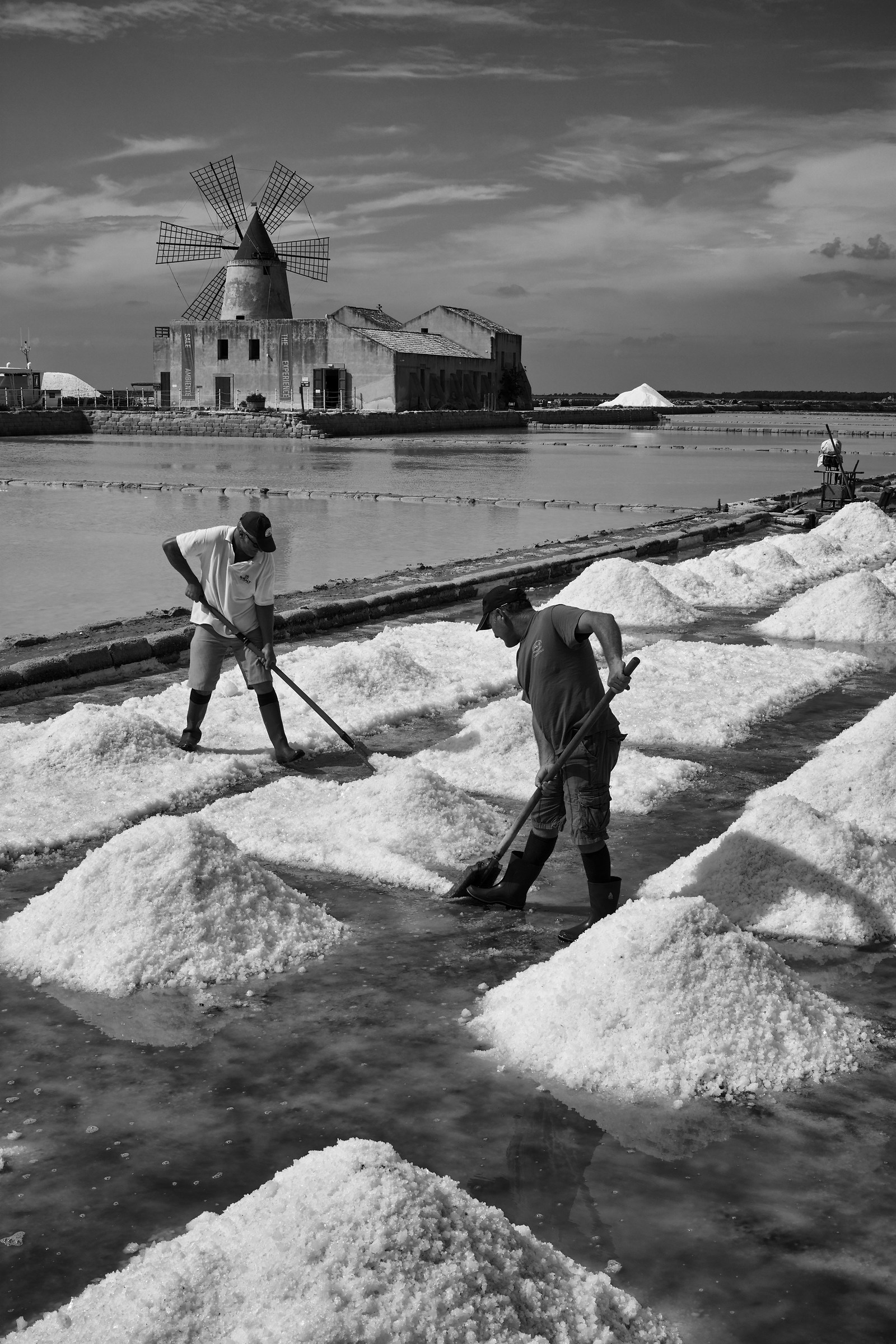 Portrait of salt workers....