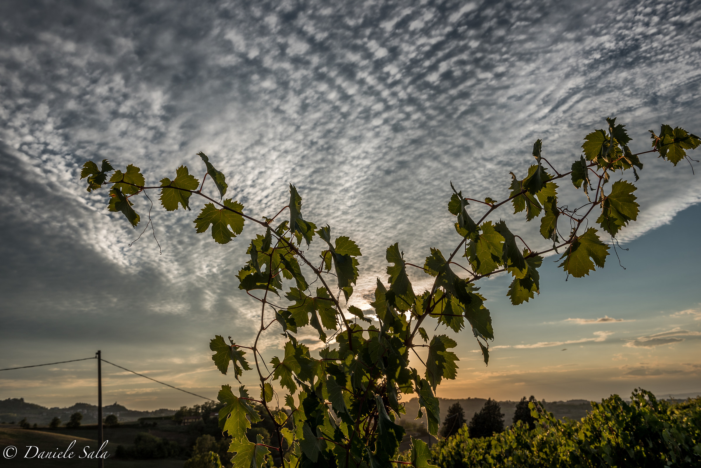 Open up the sky ... the wine roads Tortona hills...
