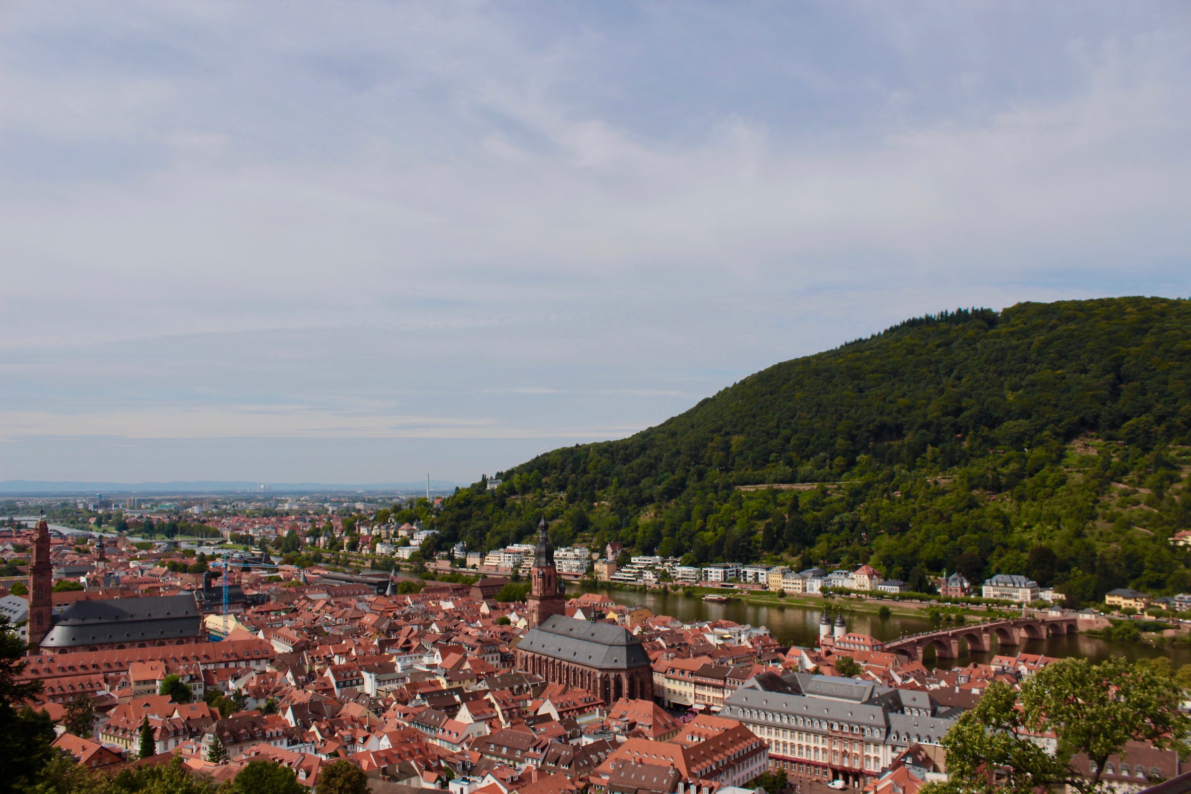 Vista di Heidelberg dal Castello...