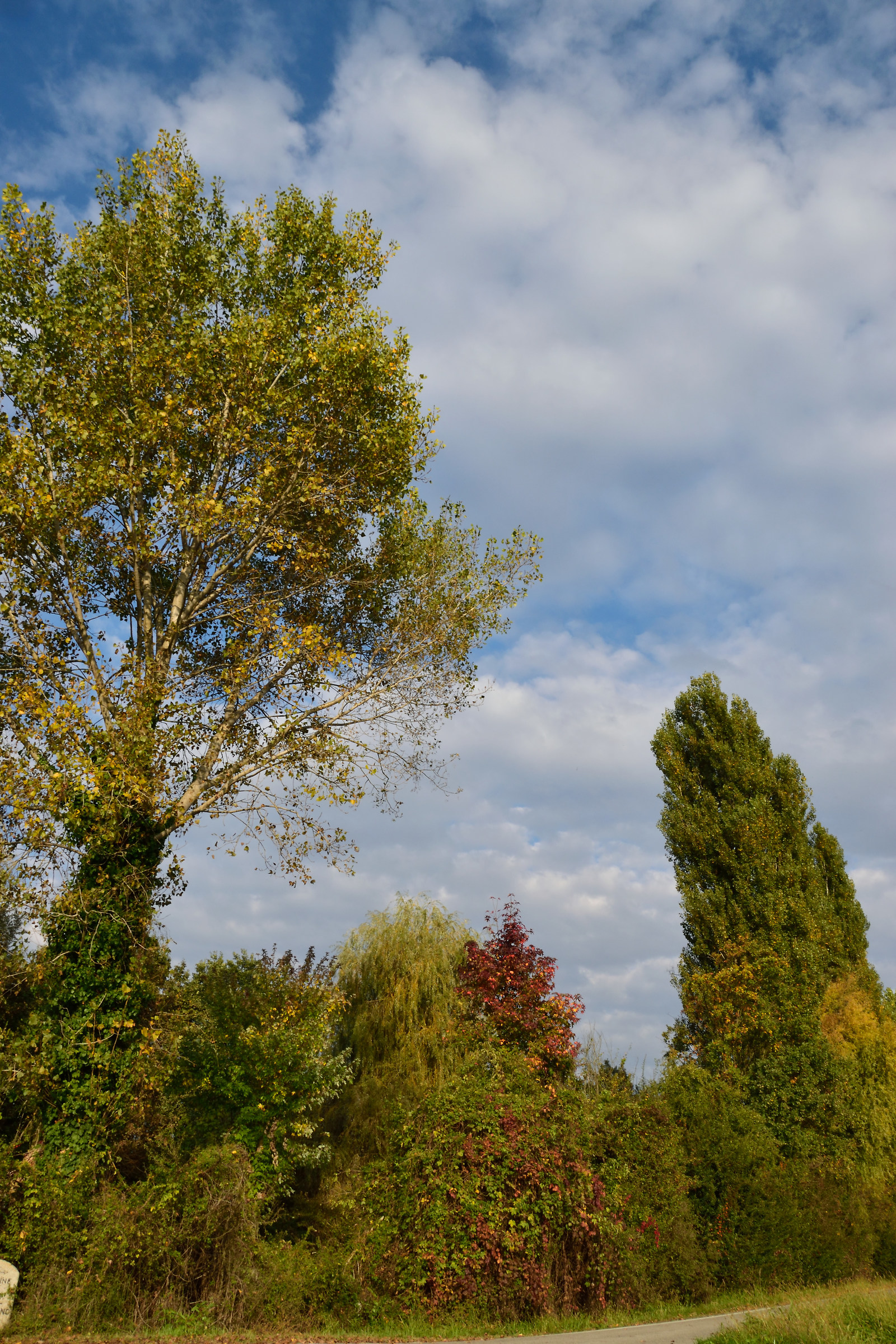 Colori d'autunno...