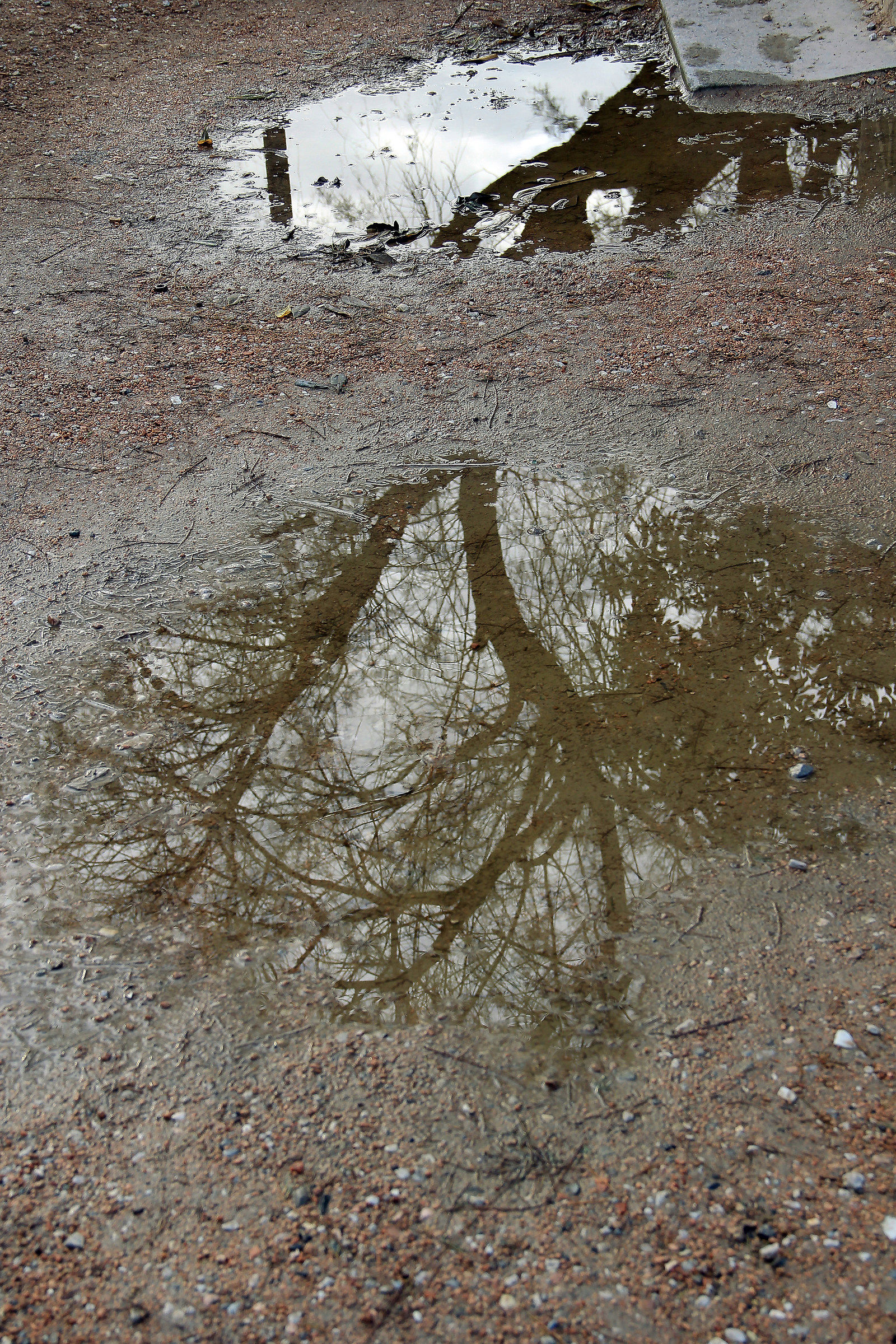 Reflexes...