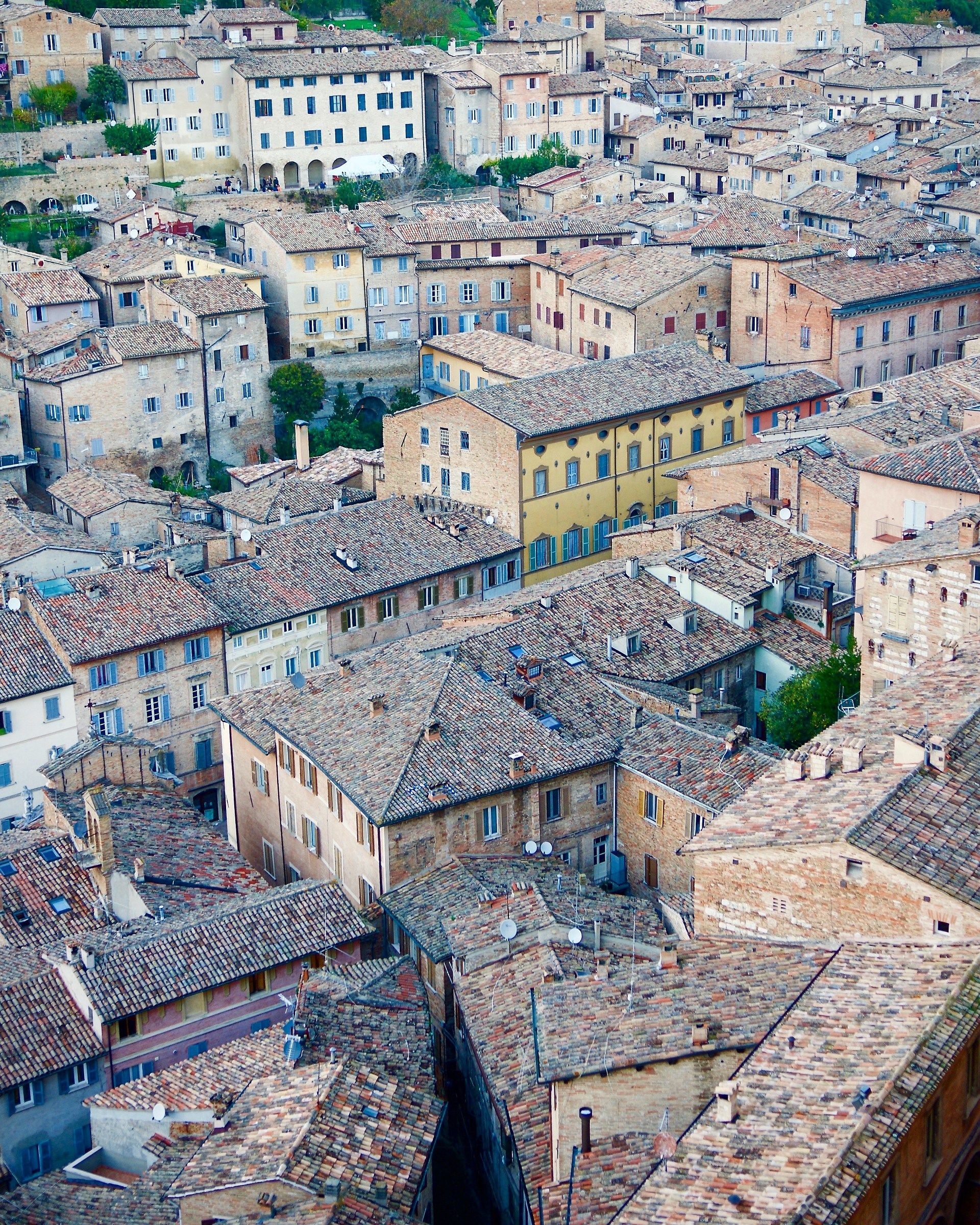 roofs of Urbino...