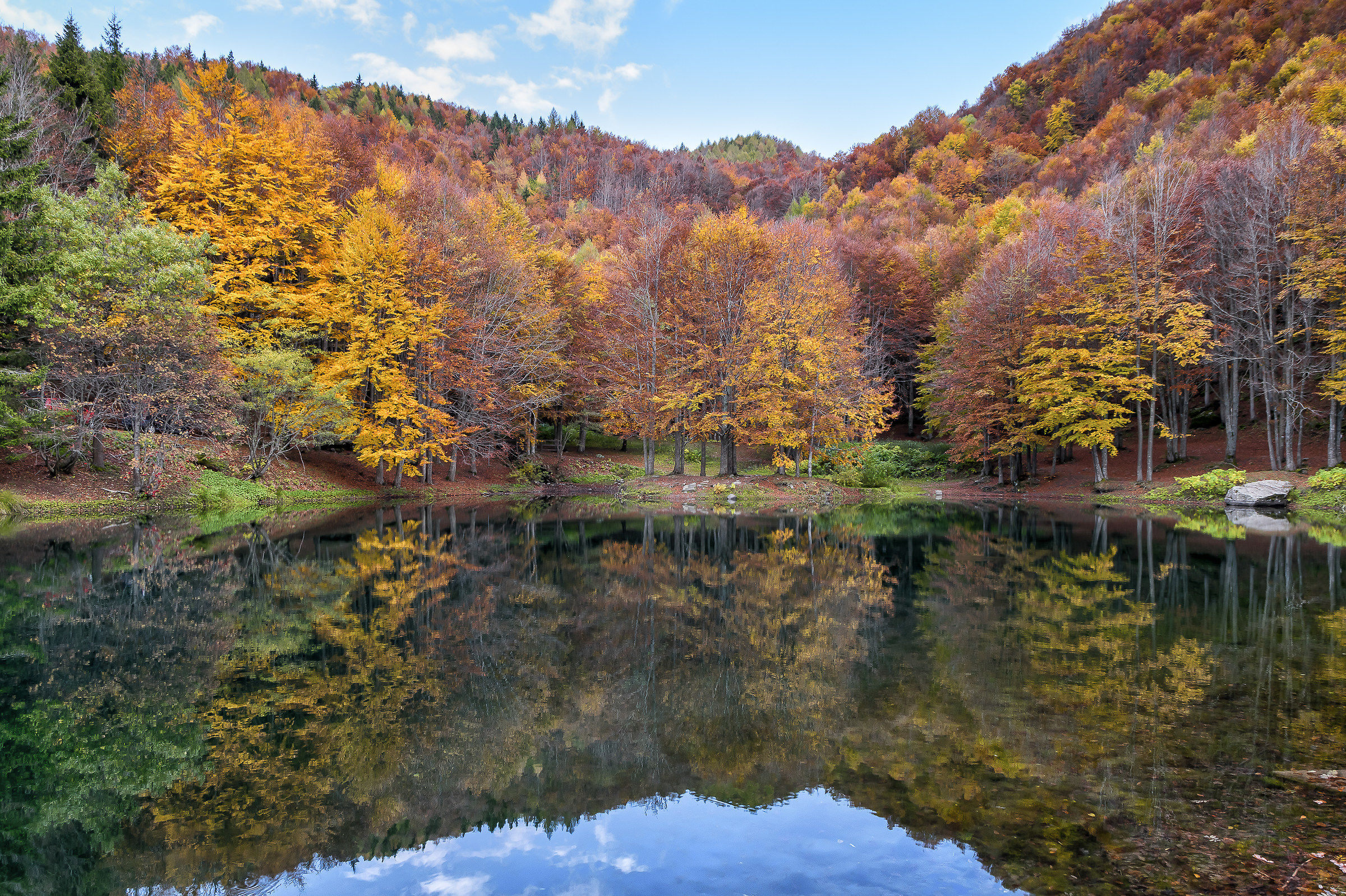 Colori d'autunno al Cavone...