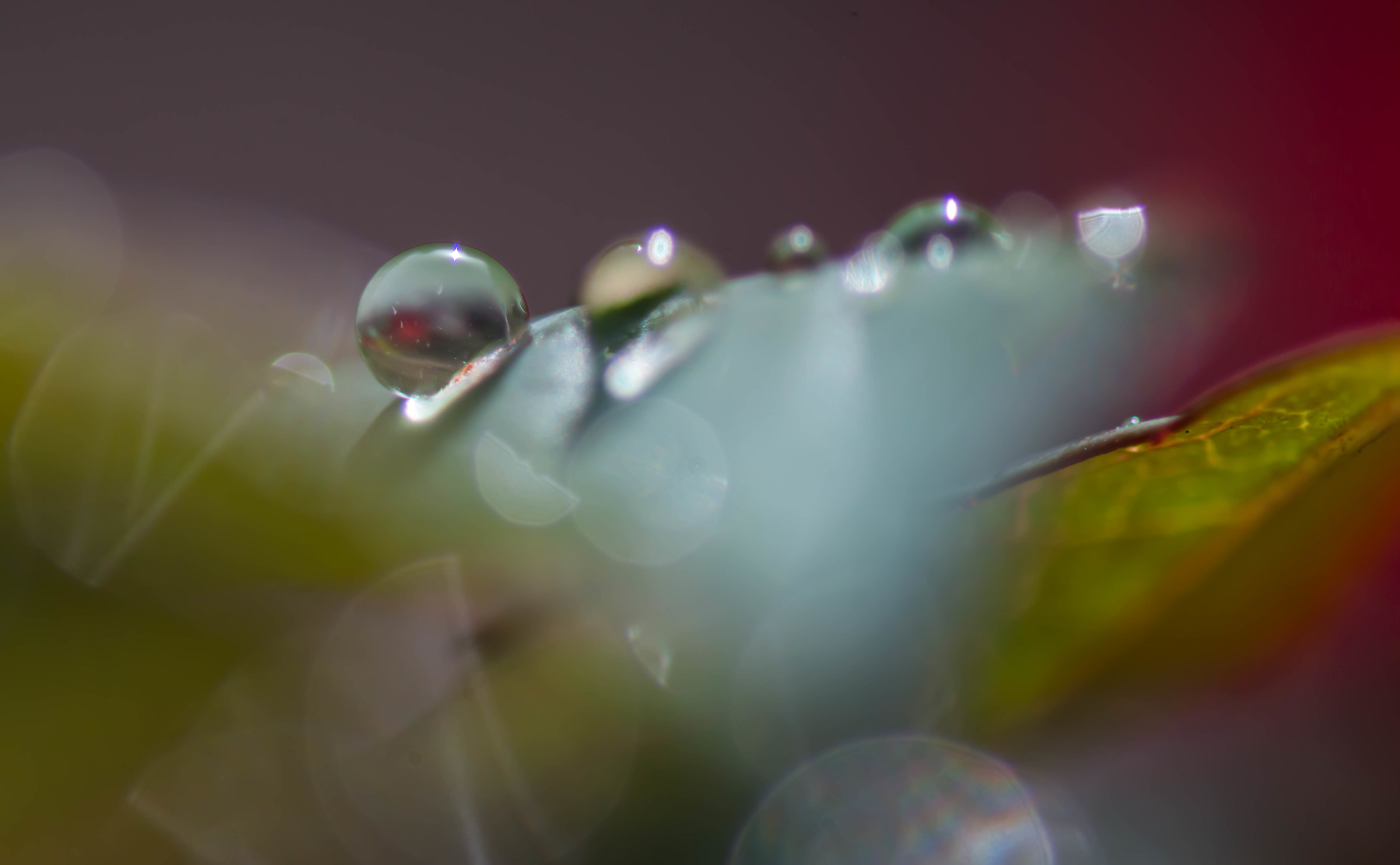 Water Droplets...