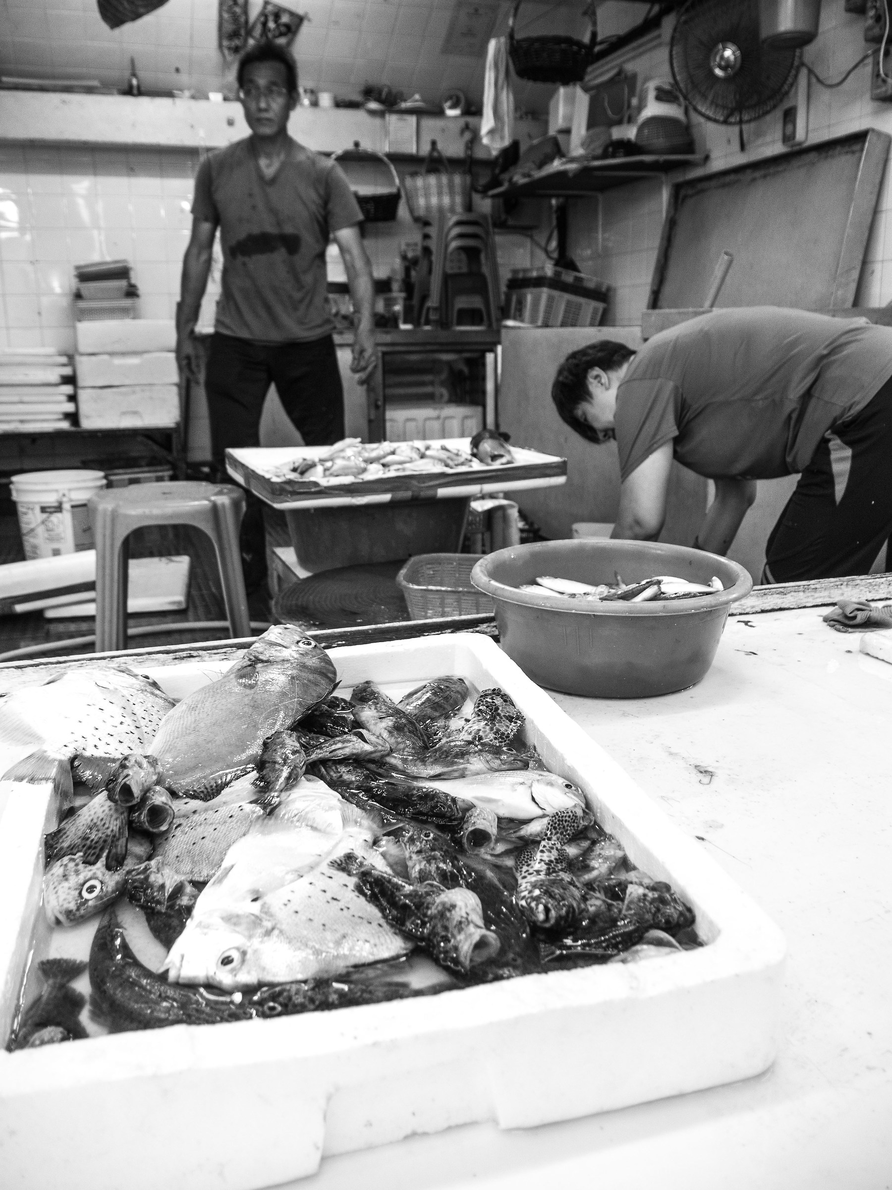 Fishmongers and B & W Fish...