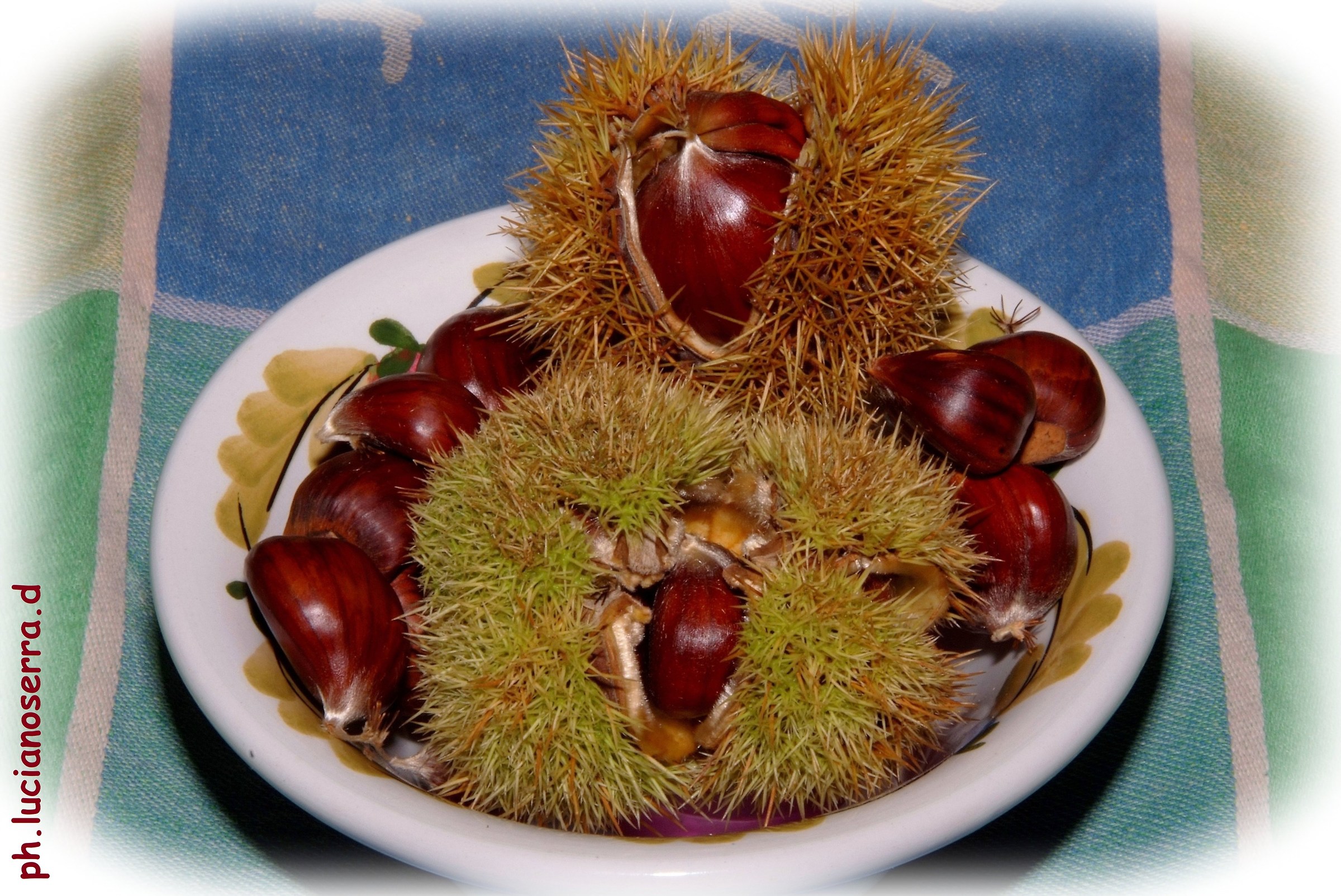 Chestnuts Wild Monghidoro...