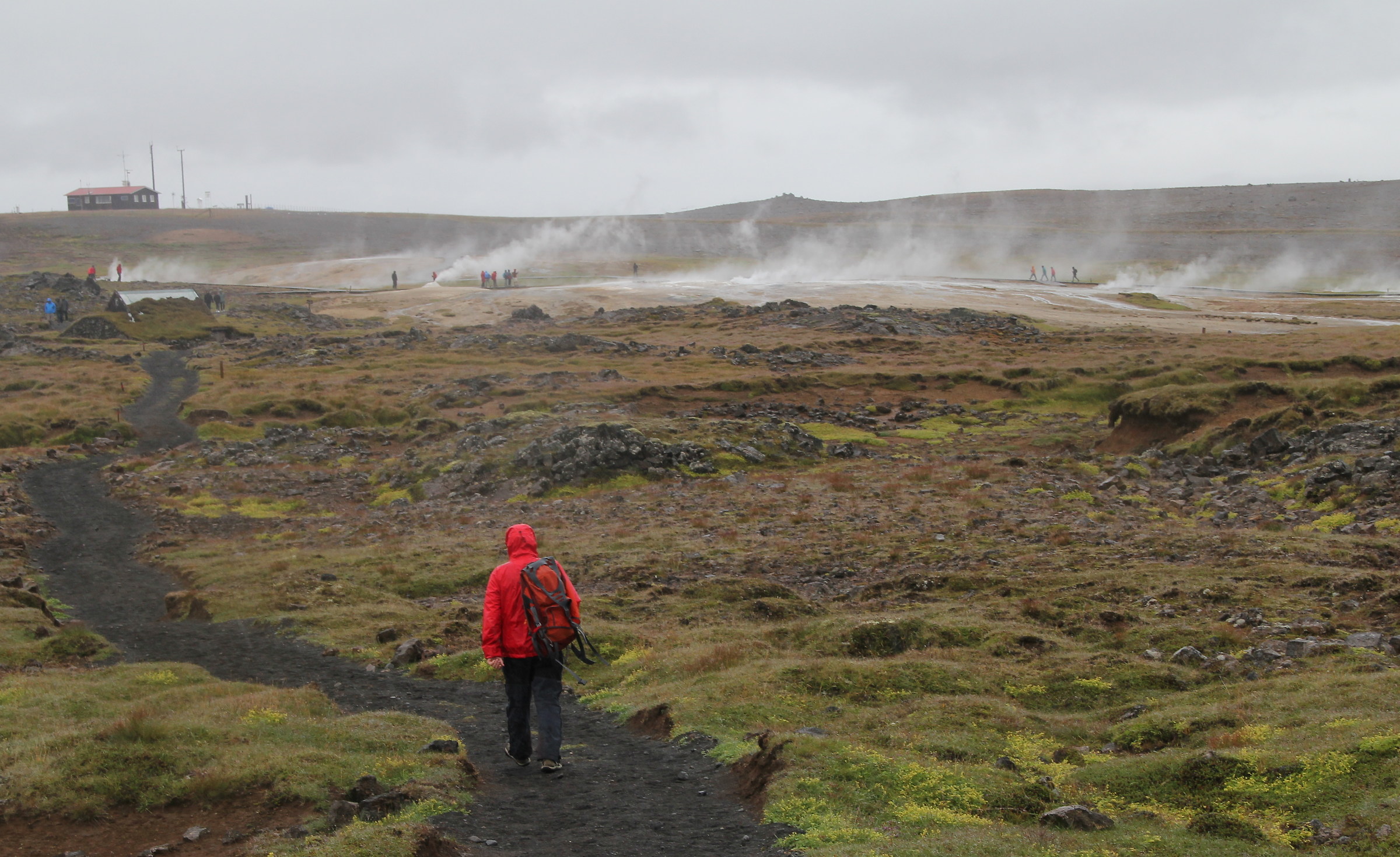 Islanda - Area geotermica...