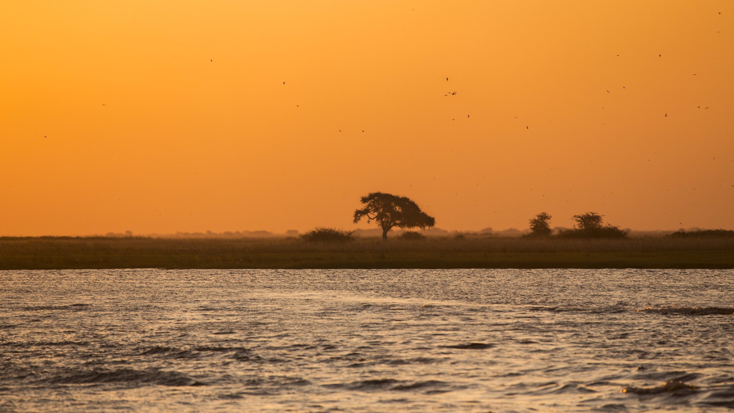 Sunset on the Zambezi...