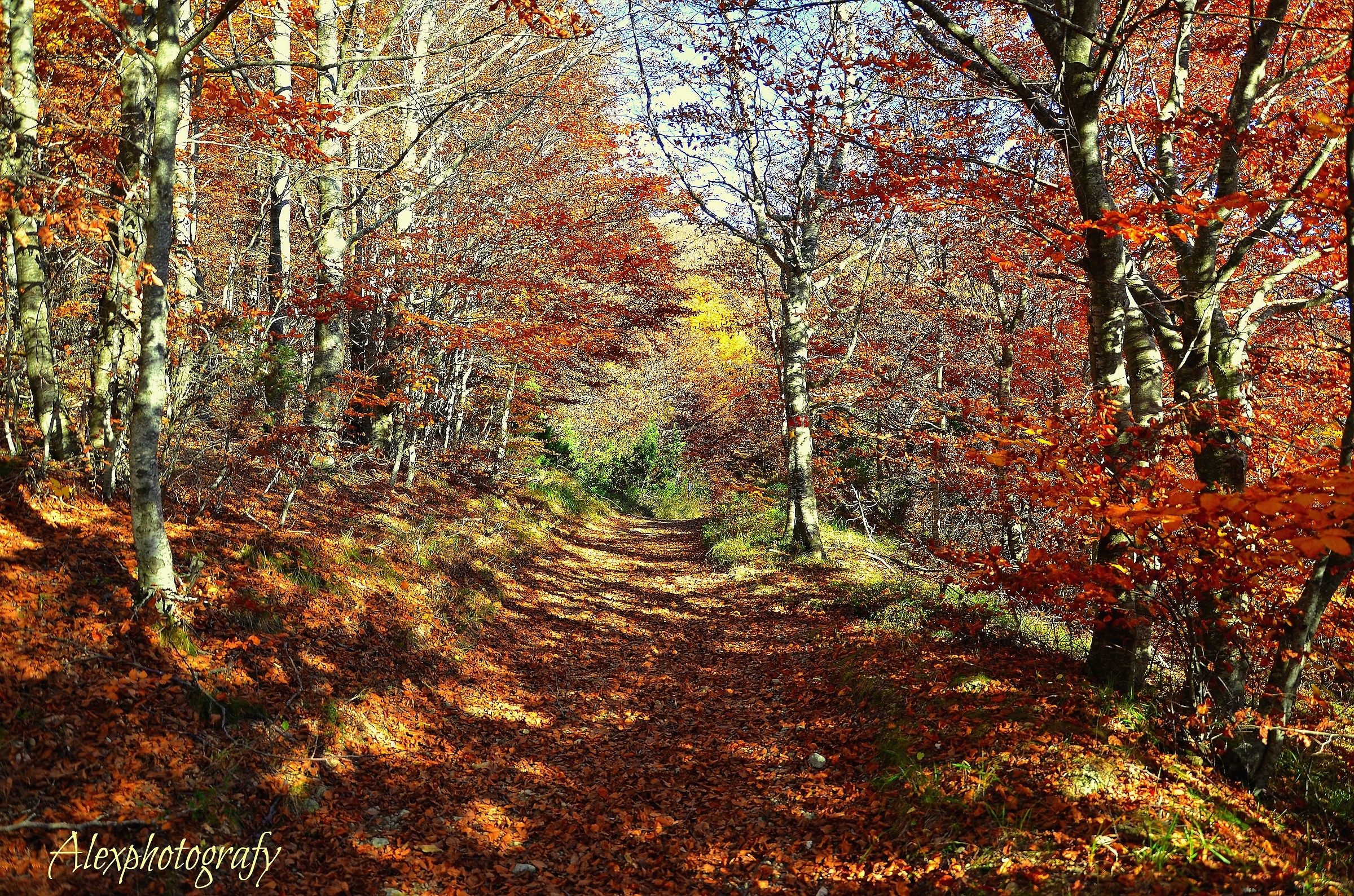 autumn in Val d'Aveto...
