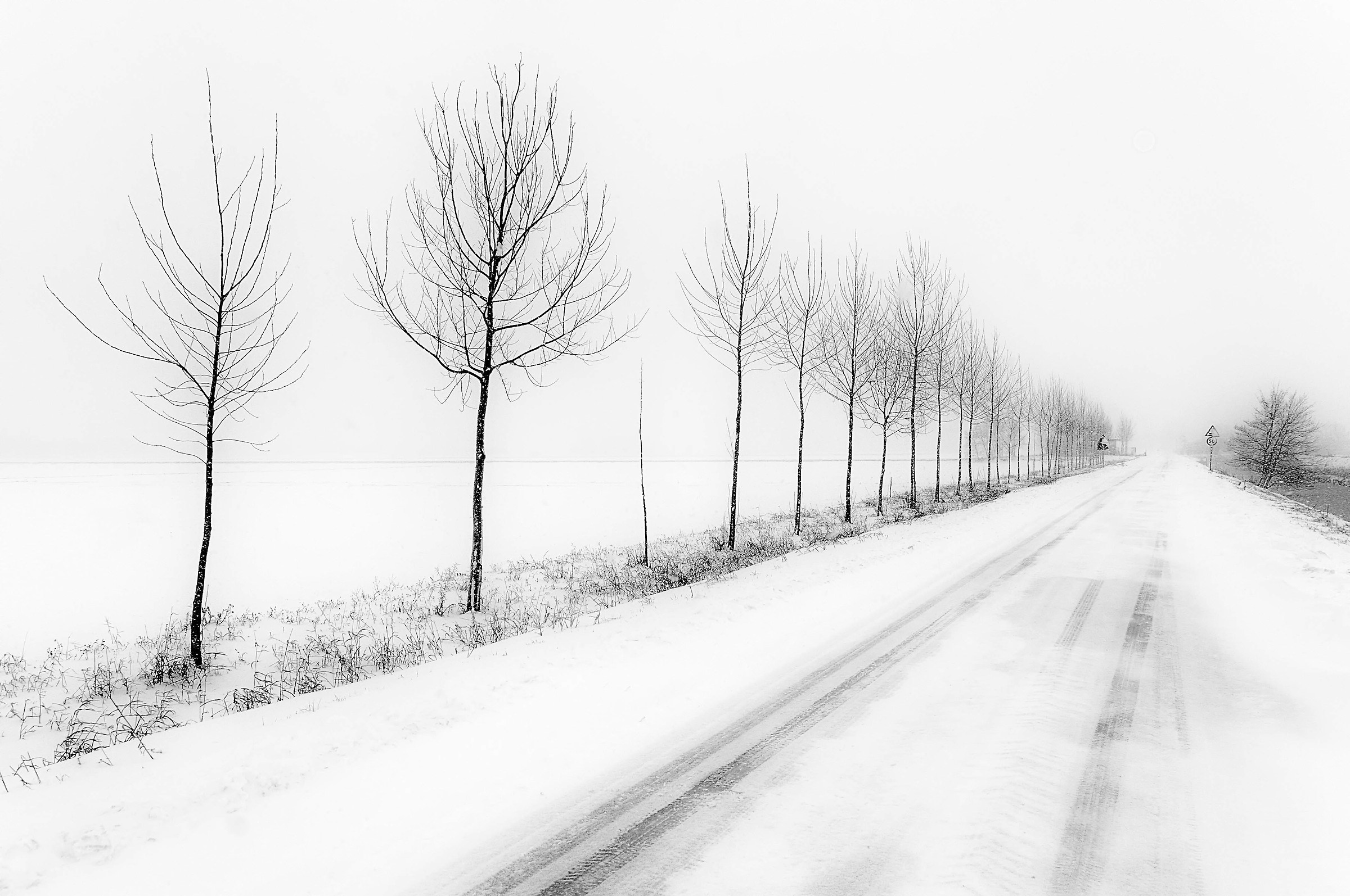 The quiet road of snow...