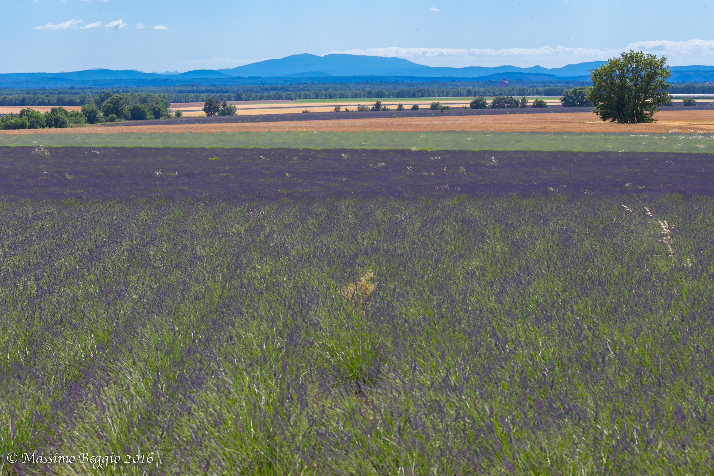 The colors of Provence...