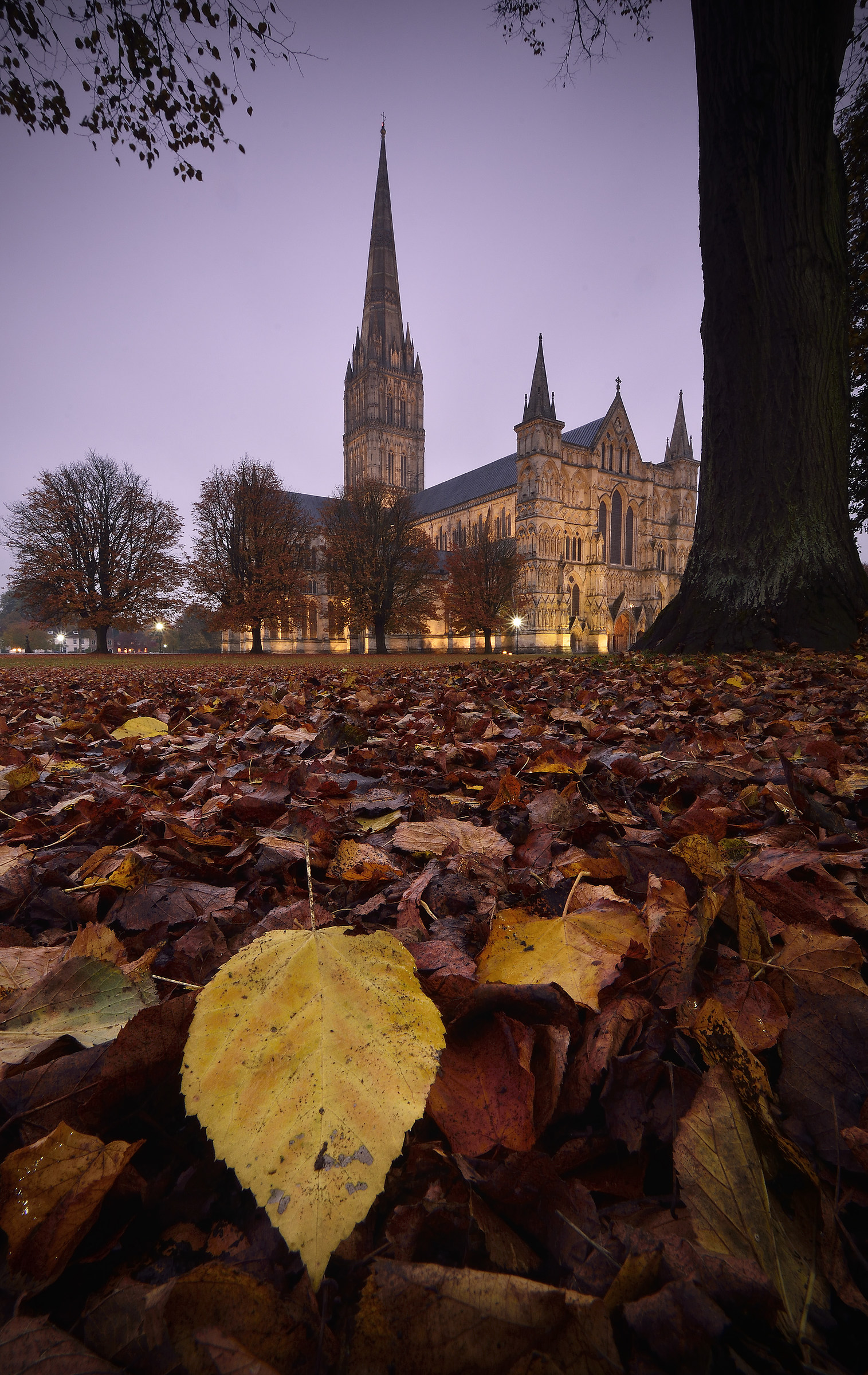 Cattedrale di Salisbury - e del foglio di autunno...