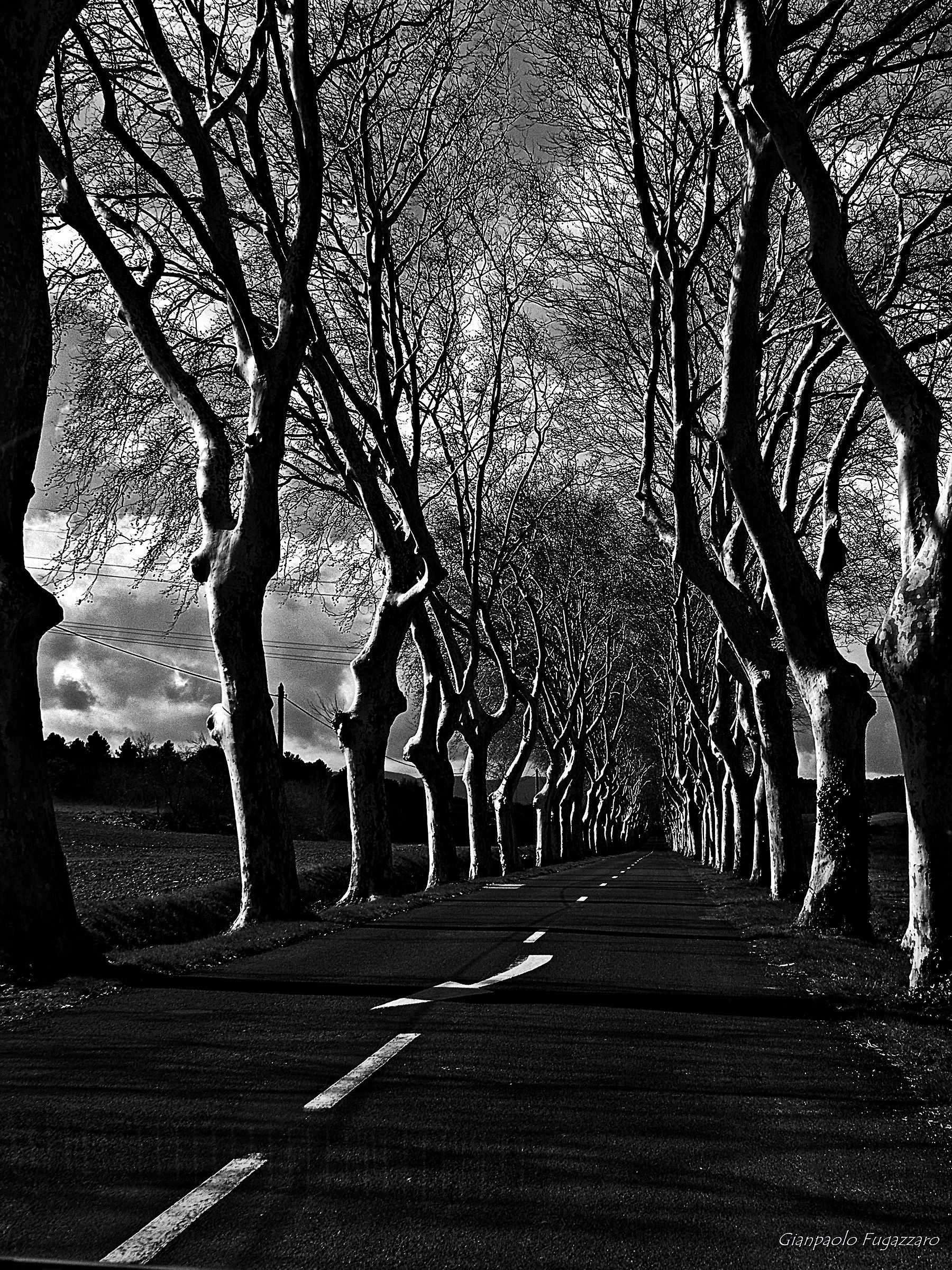 Untitled Photo...