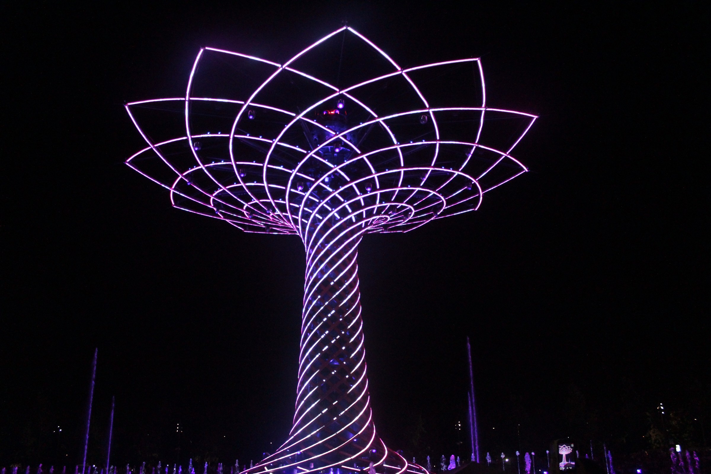 Tree of Life expo 2015...