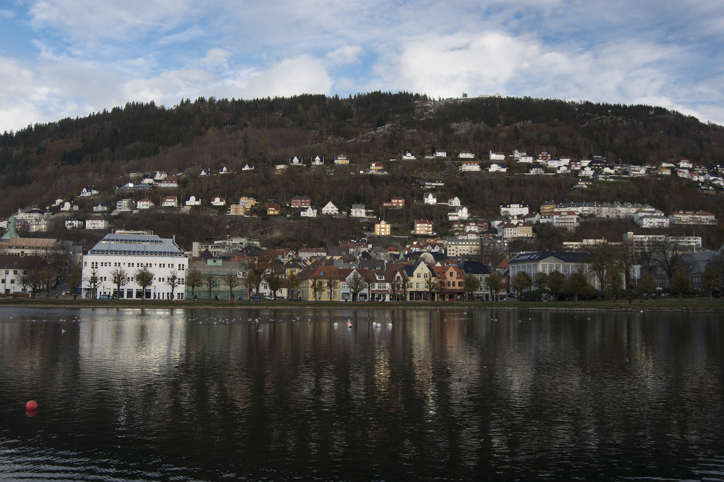 reflects Bergen...