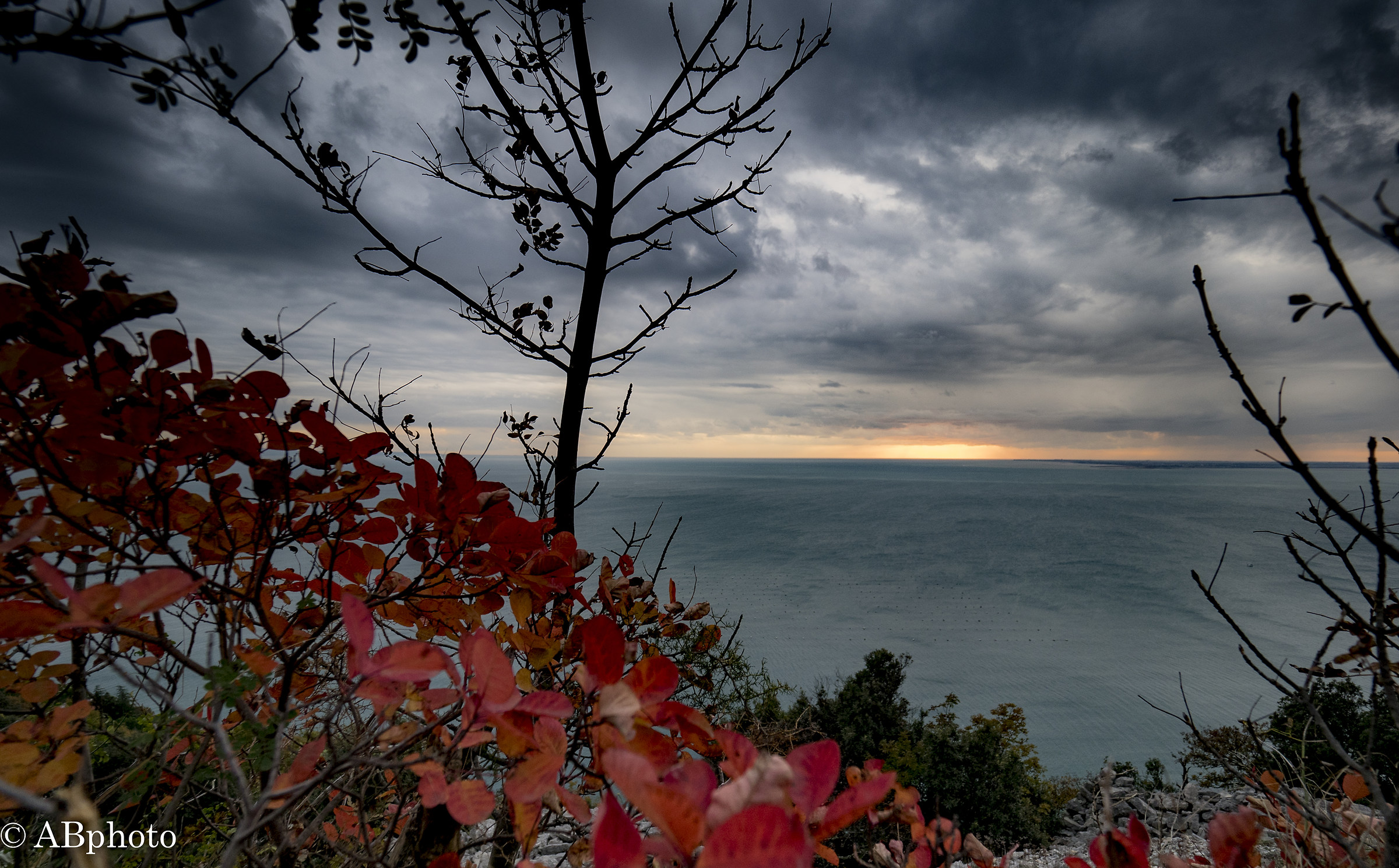 Trieste coast...
