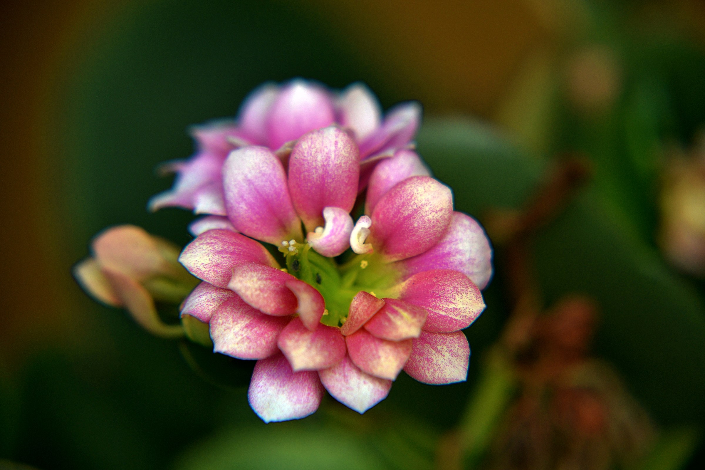 Untitled Photo...