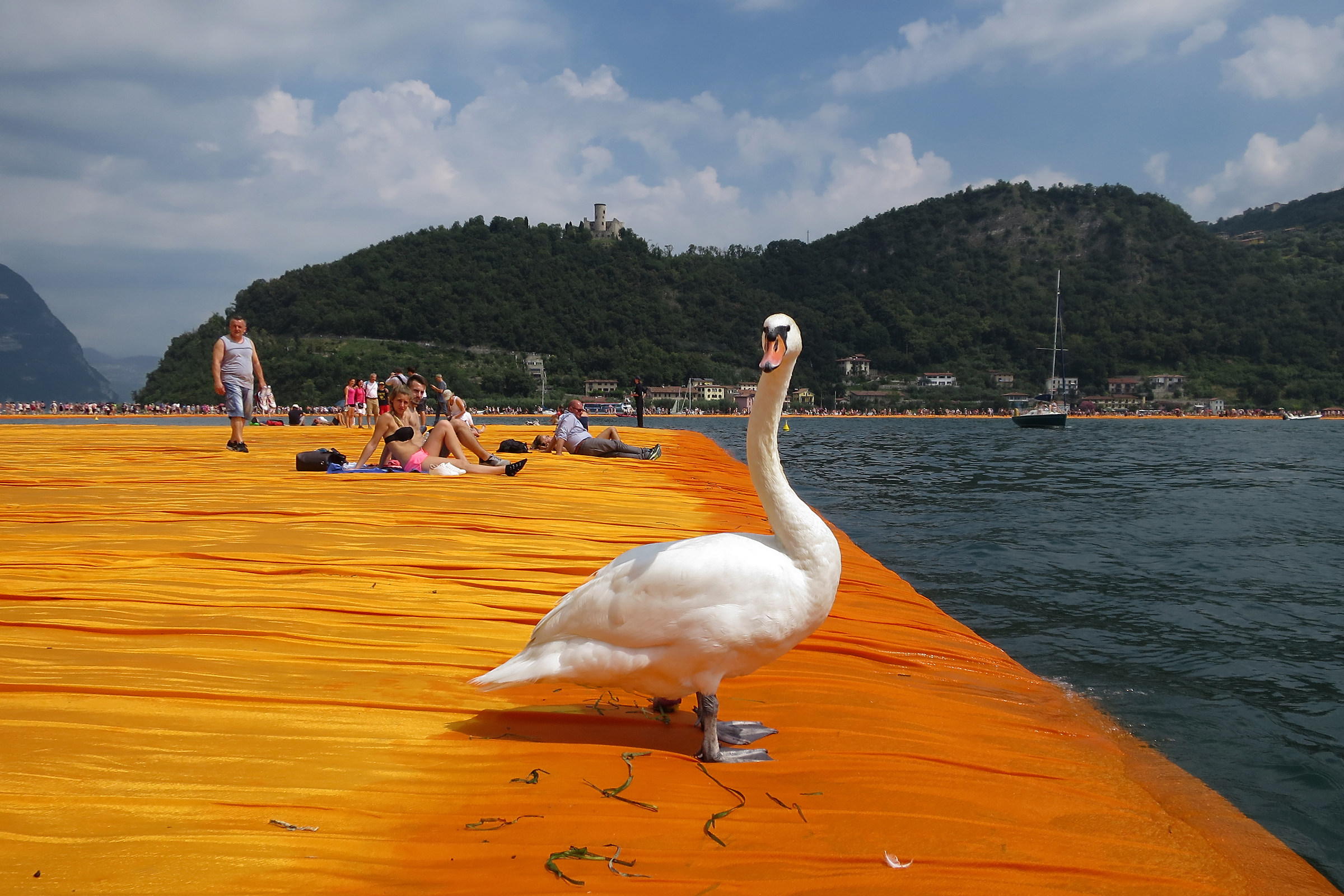 Floating piers, find the intruder....