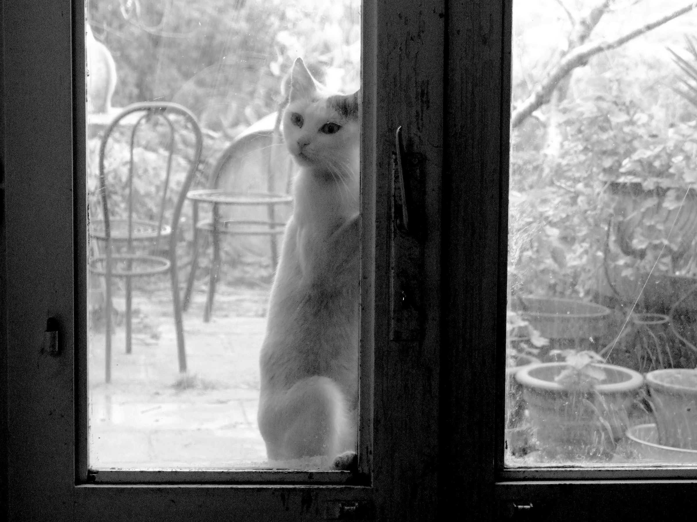 posso entrare?...