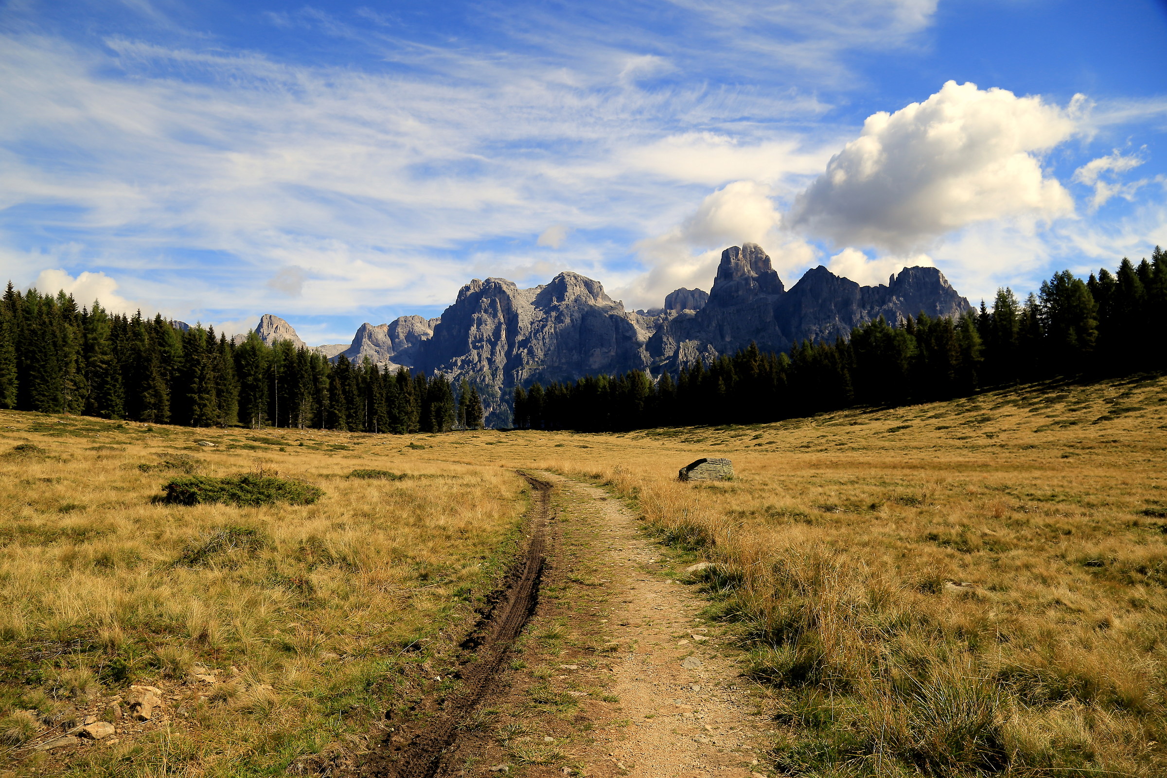 Valle del LOzen...