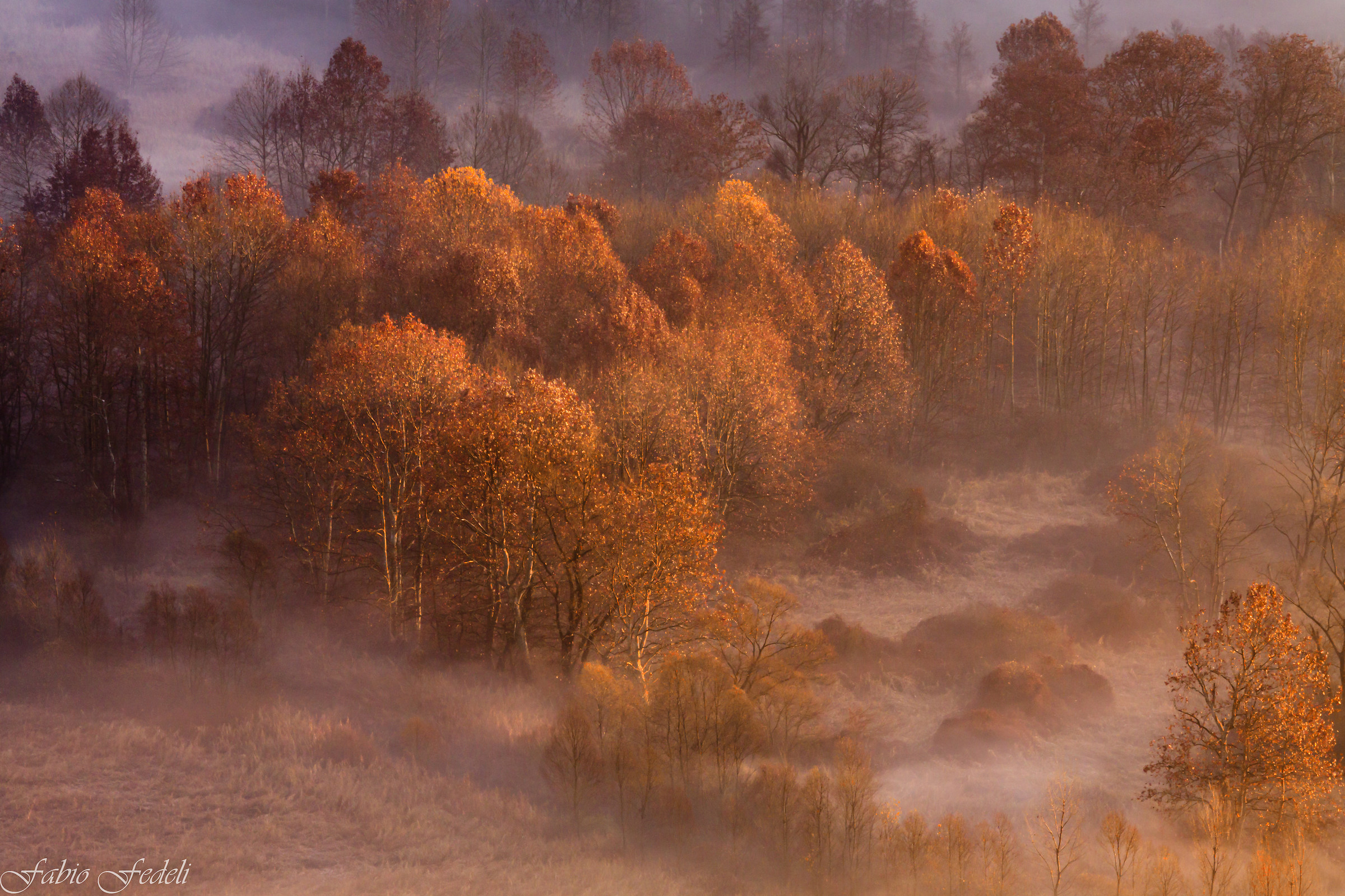 Autunno dorato...