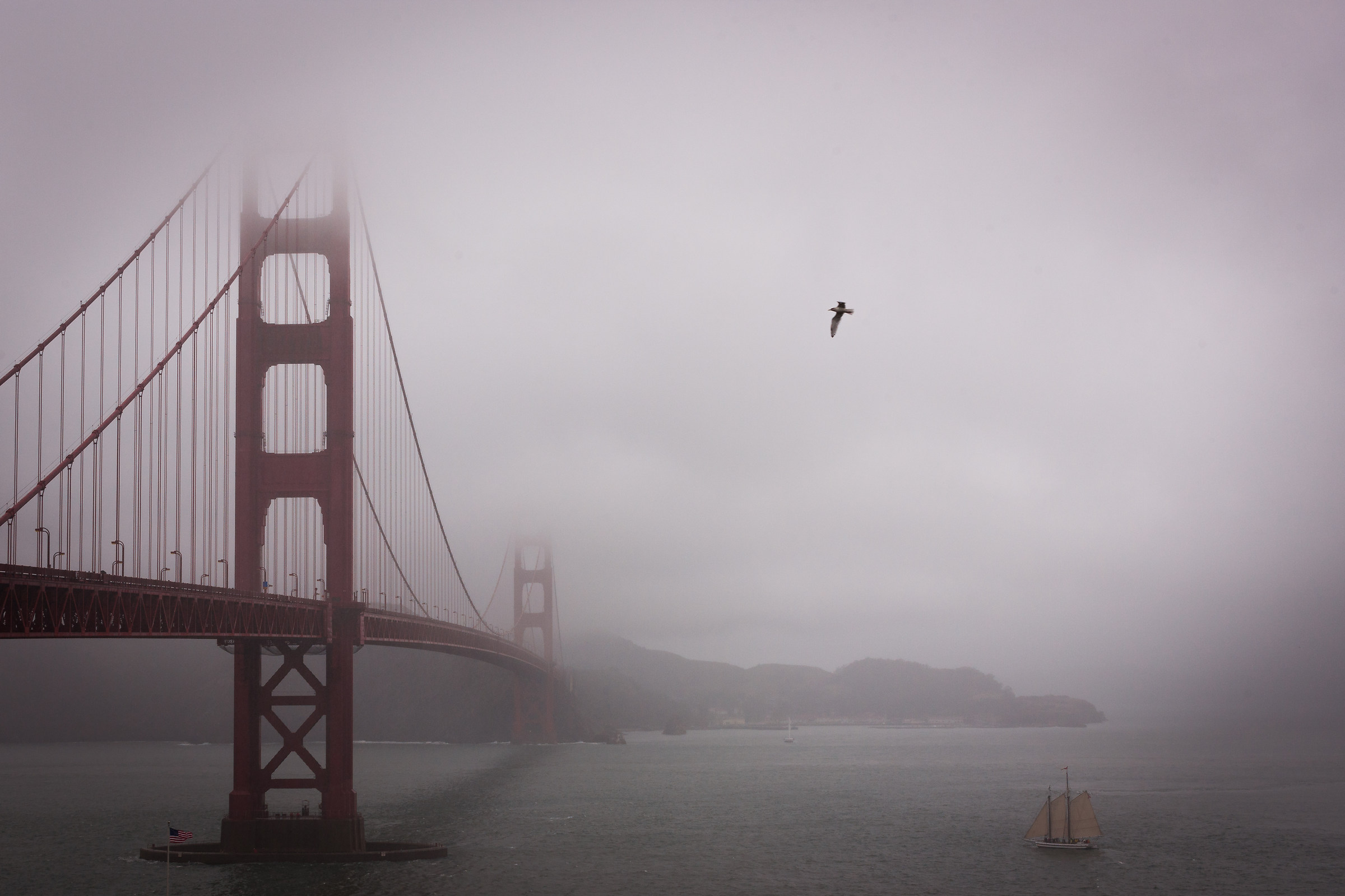 Fog on the Golden Gate with sailing ship, seagull and bandiera2...