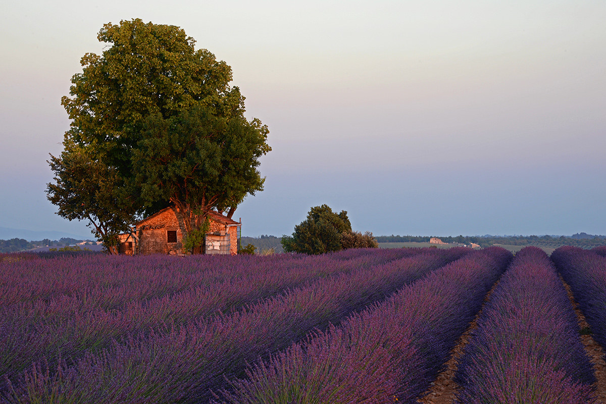 Provençal sunset...