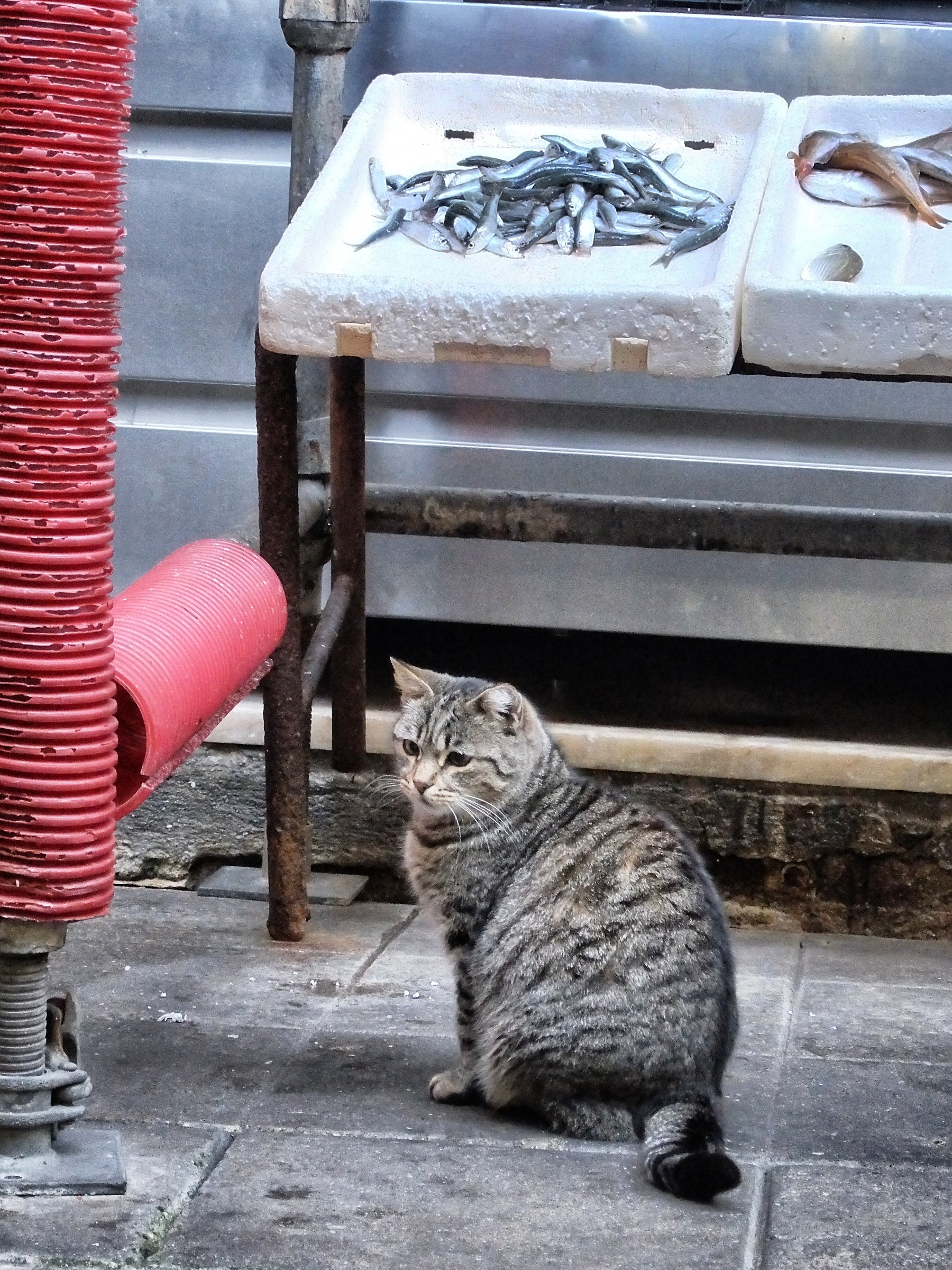 Attese...