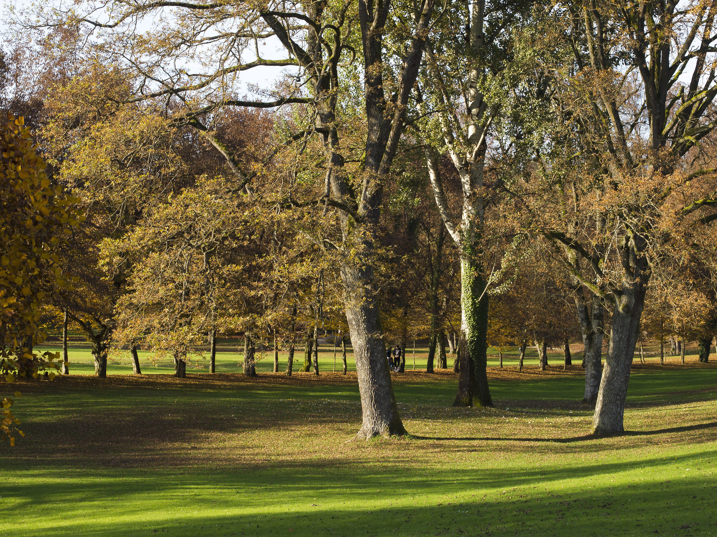 autumn tranquility...