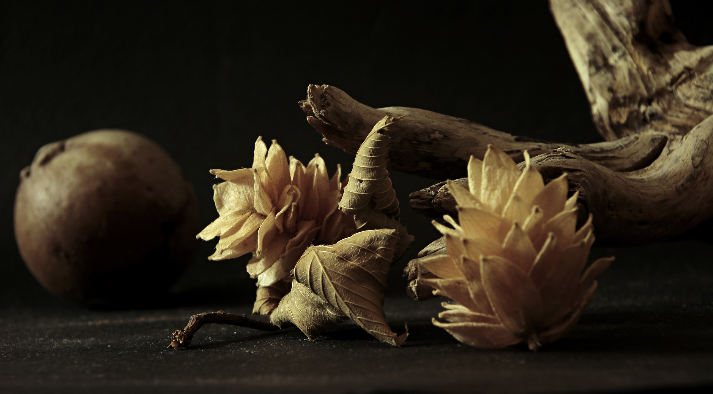 dried flowers...