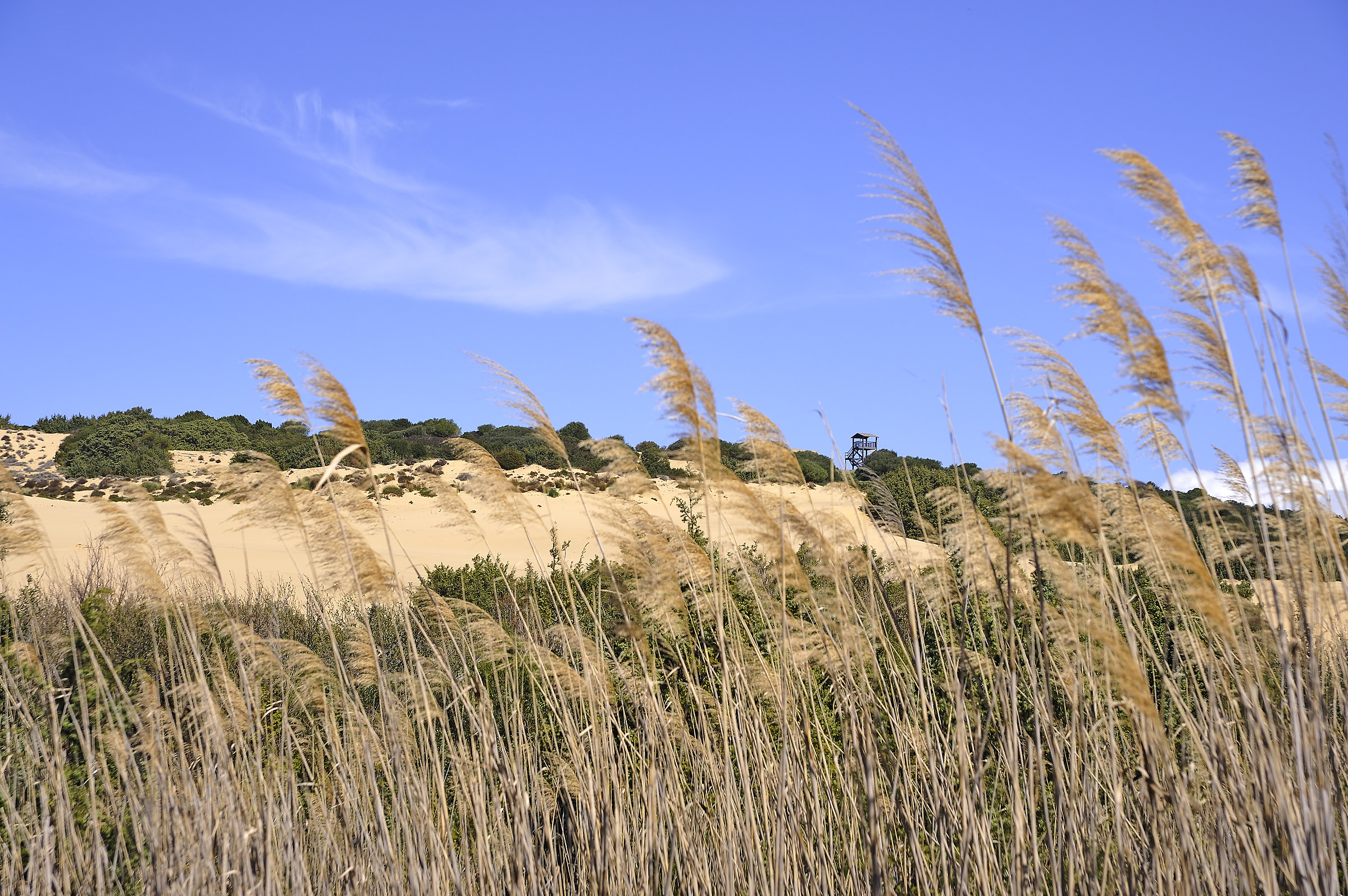 Piscinas dunes...