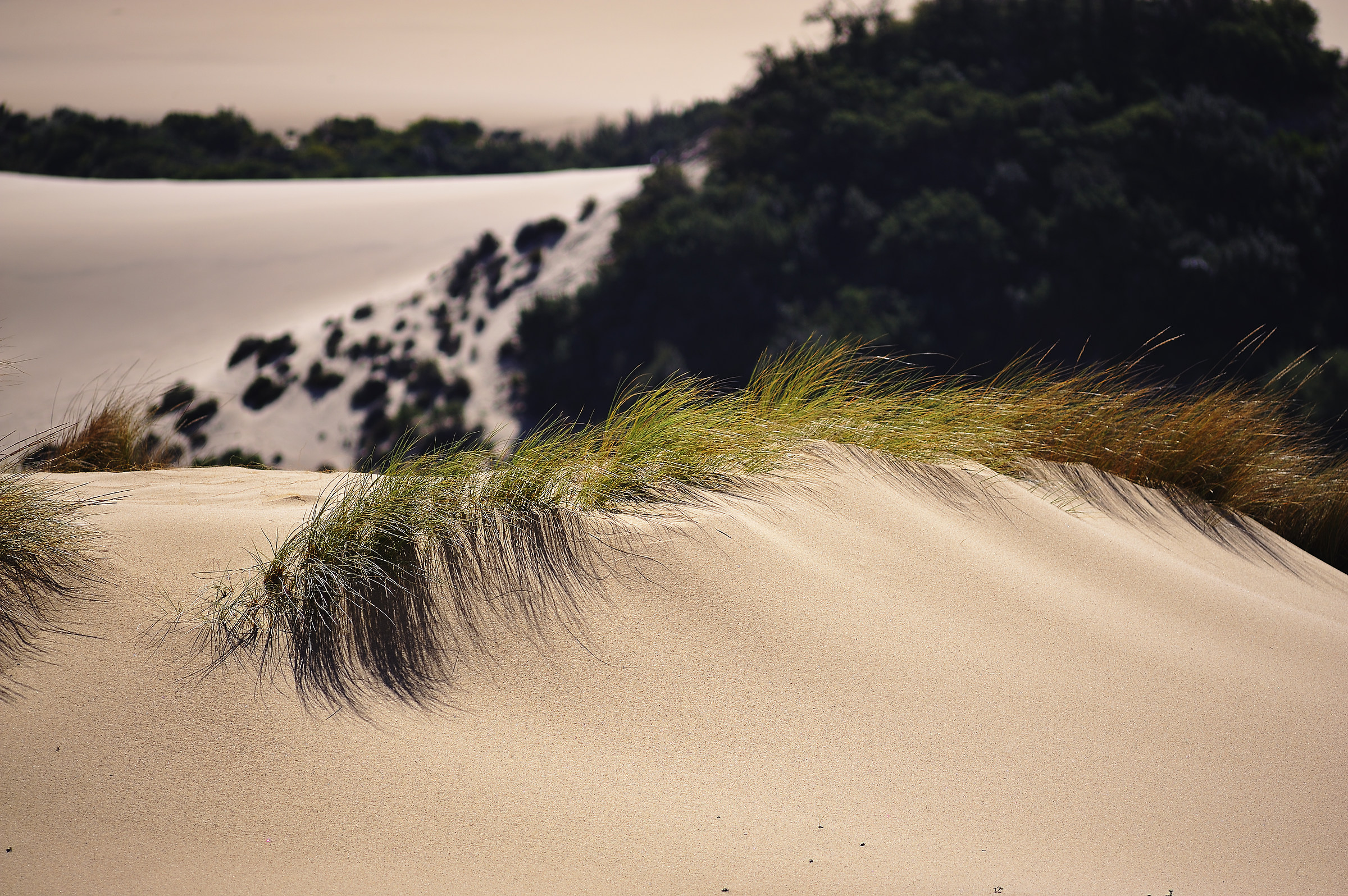 Piscinas dunes...