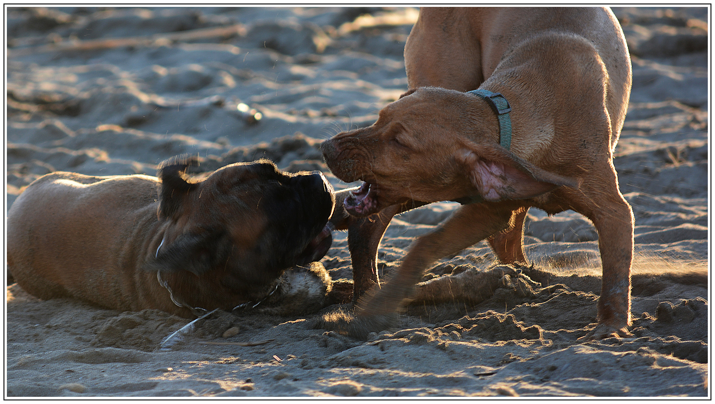 Gioco in spiaggia 2...