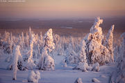 [Photo]