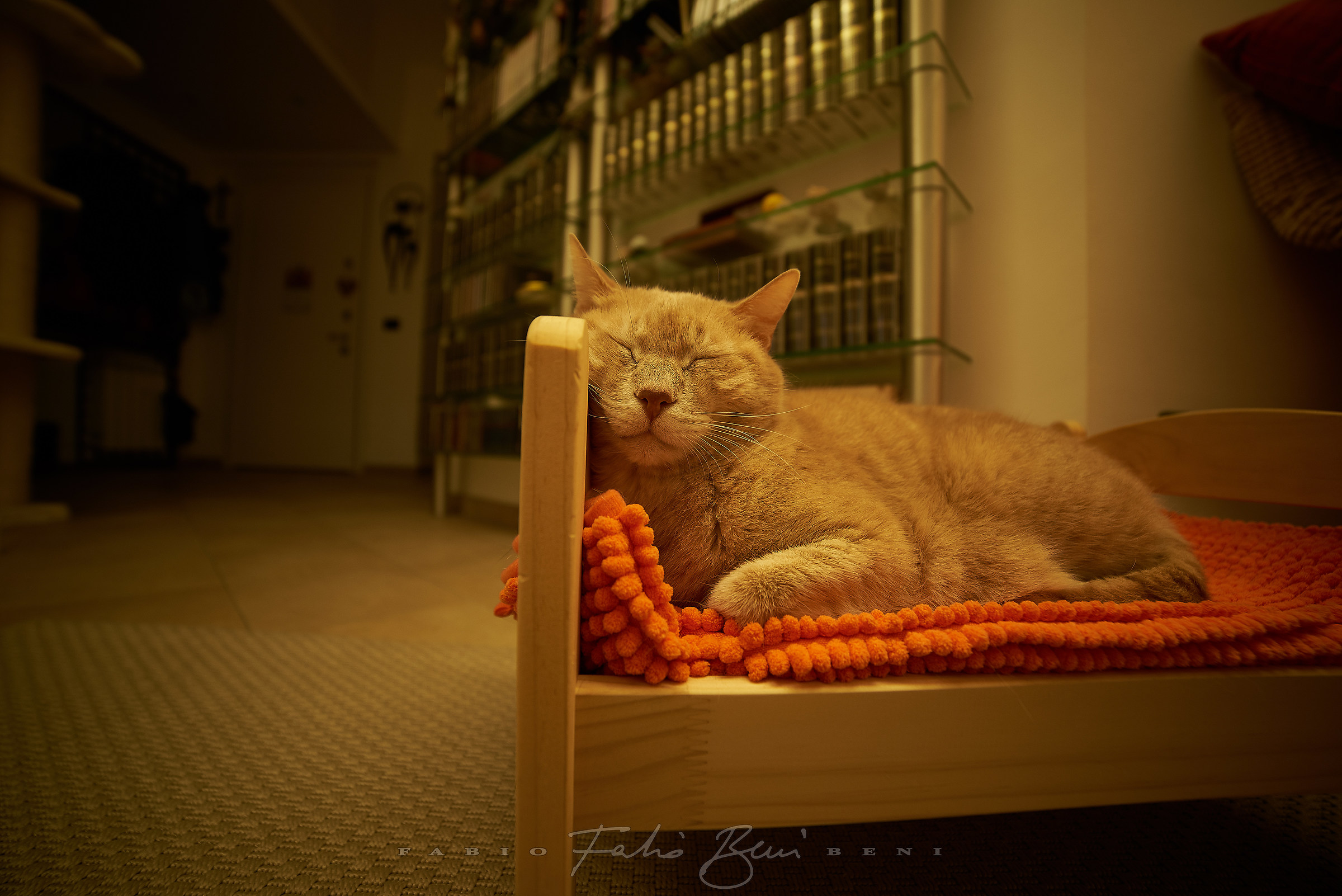 The little Prince...