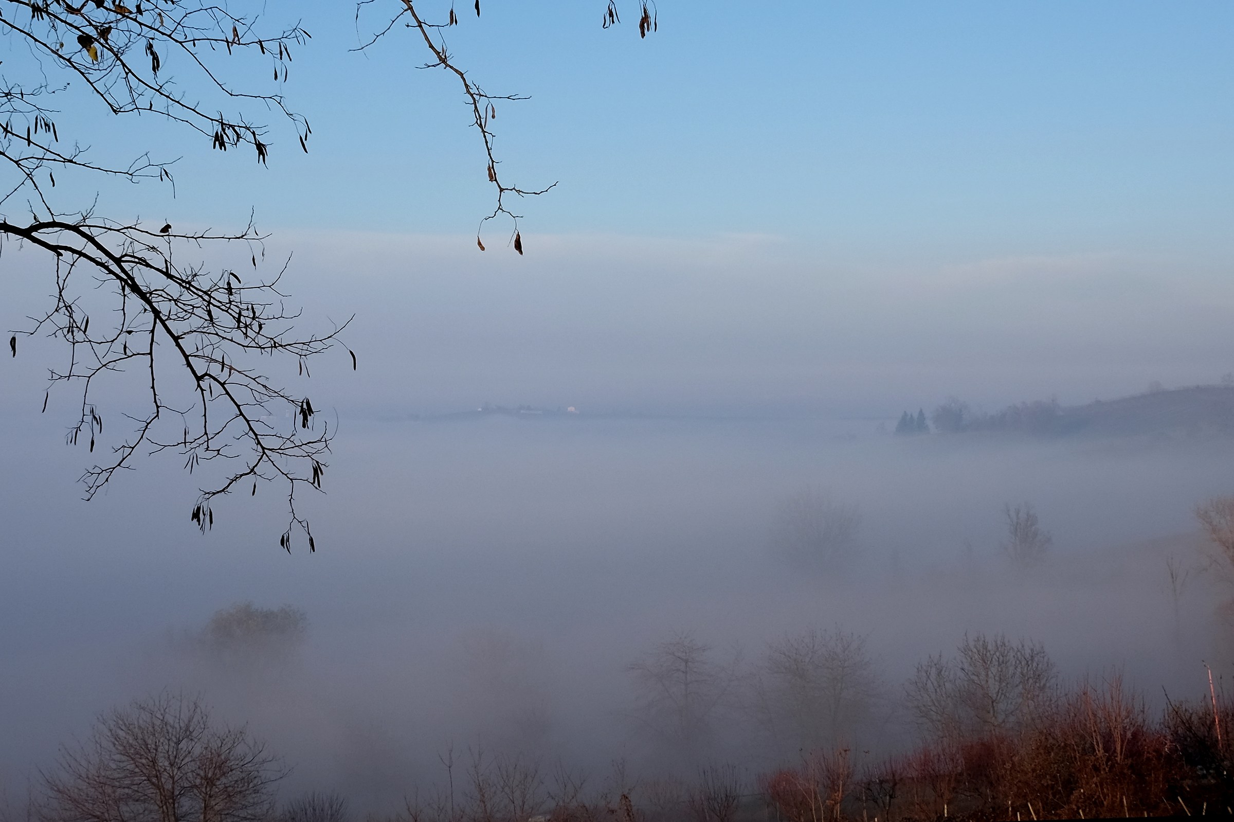 La suggestione della nebbia...