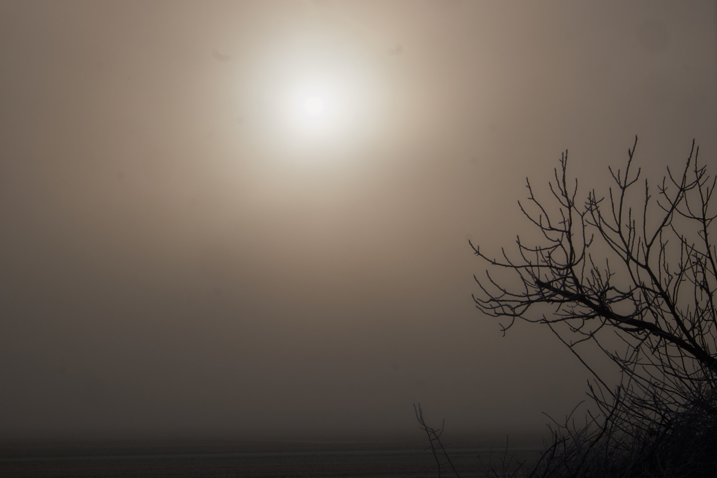 sun behind the fog...
