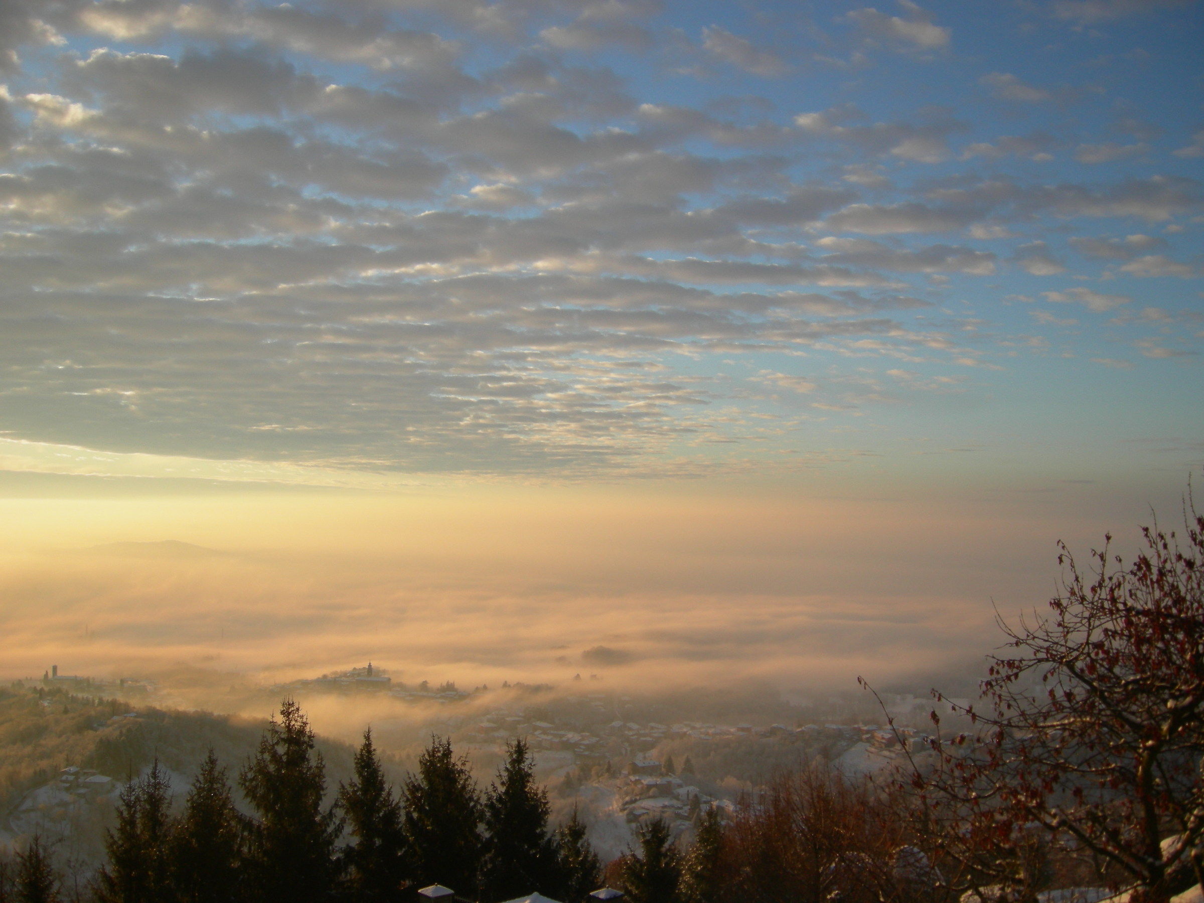 Untitled Photo...