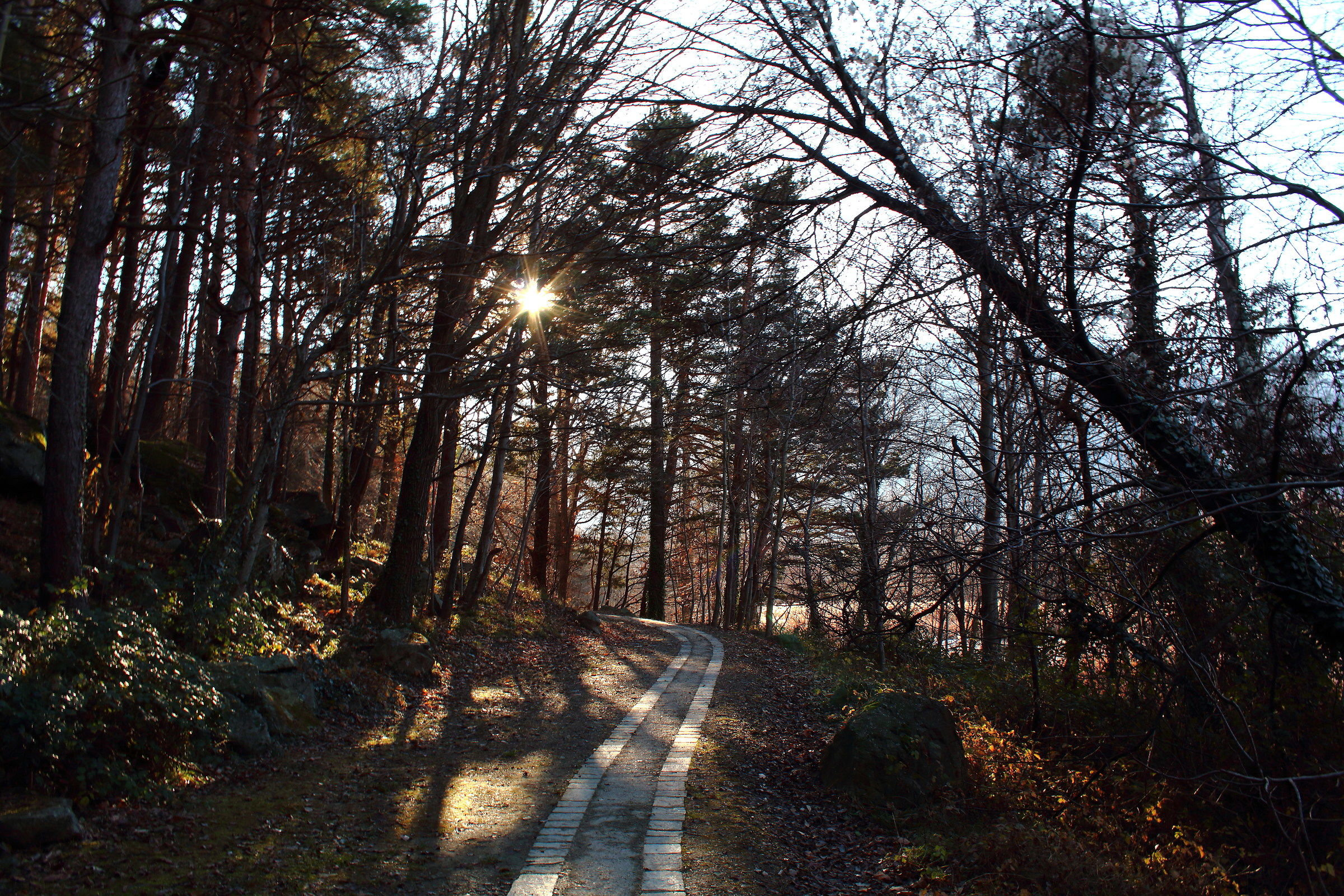 The path of life...