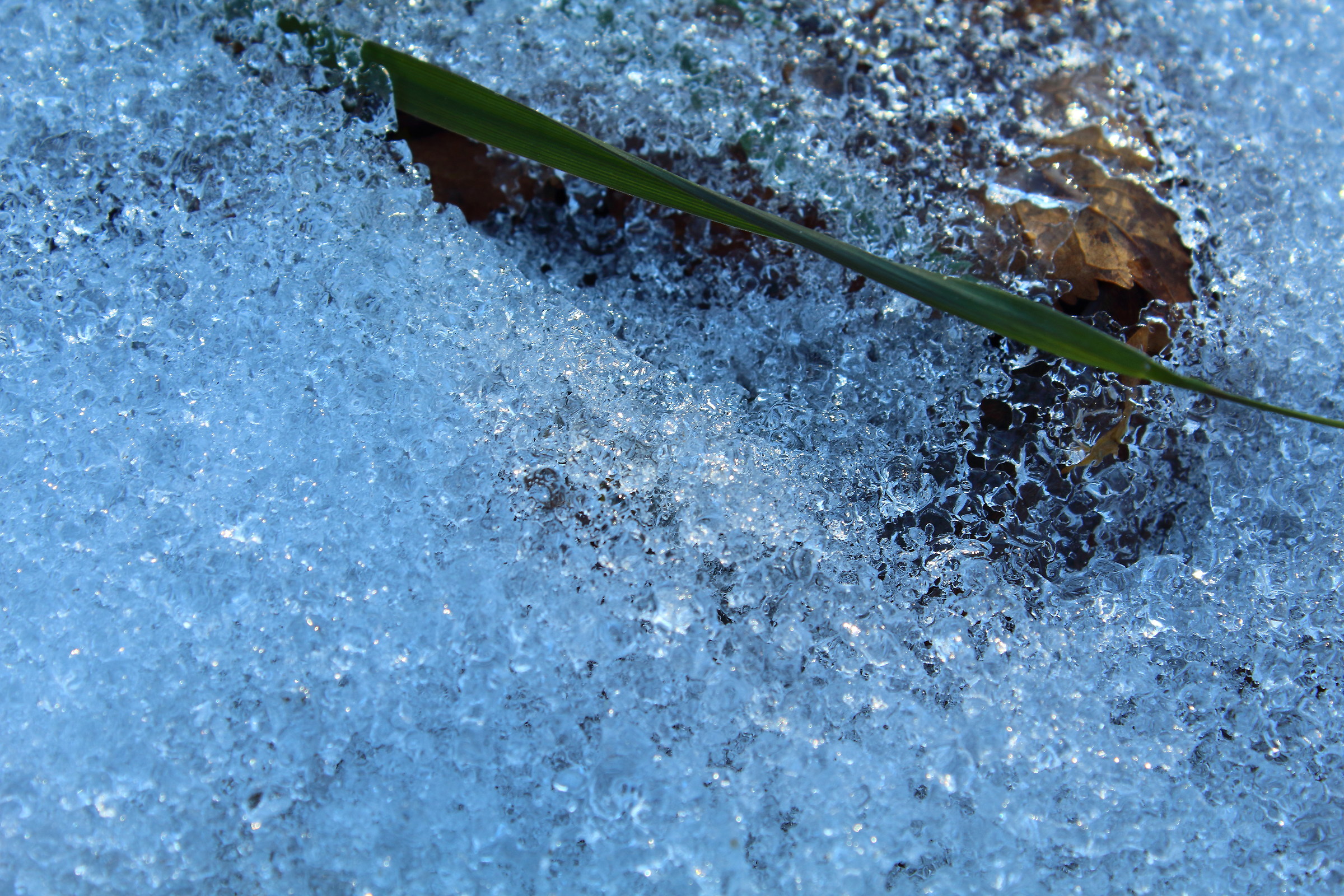 Cristalli di neve...